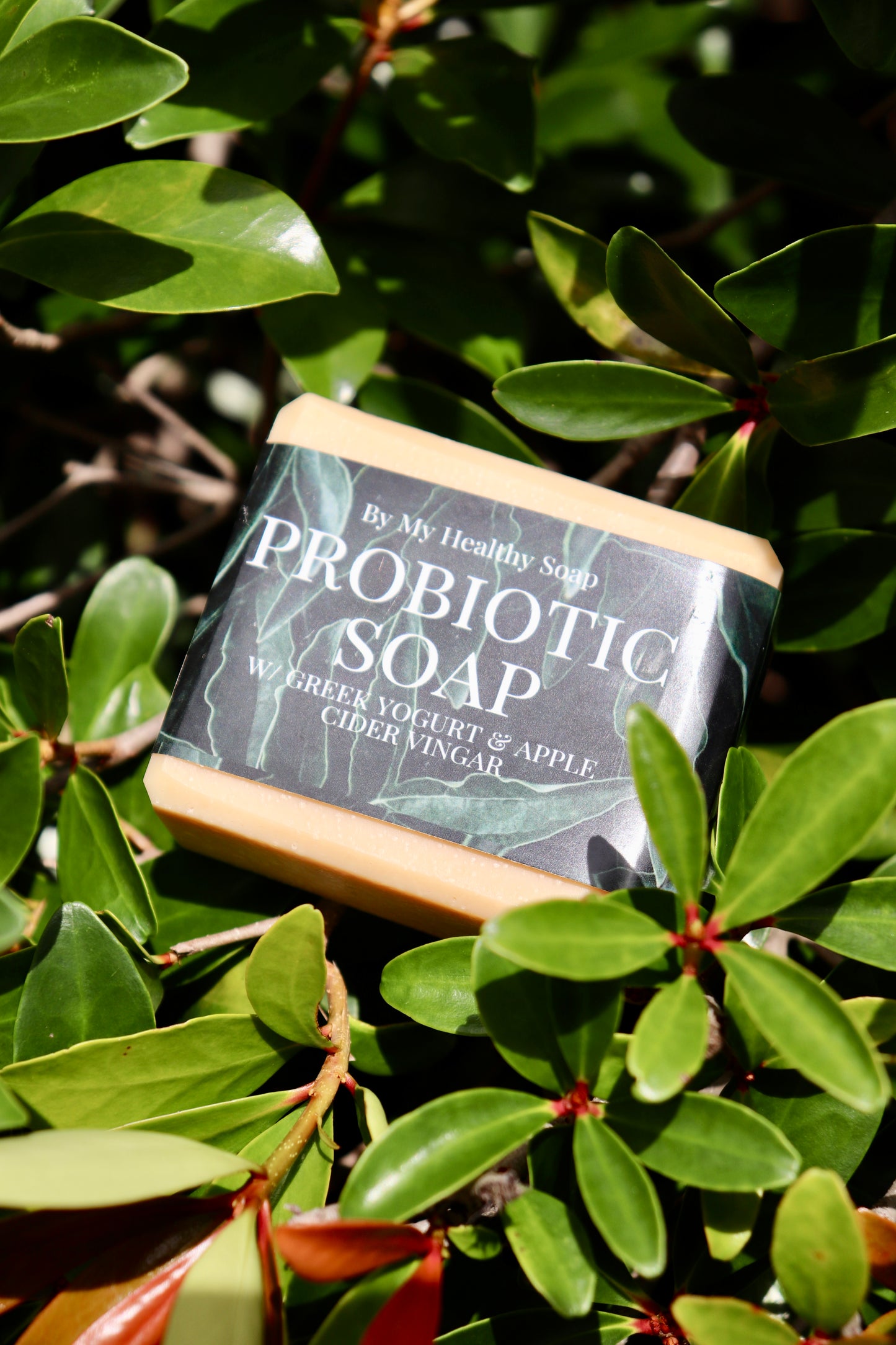 Probiotic Soap - Greek Yogurt & Apple Cider Vinegar