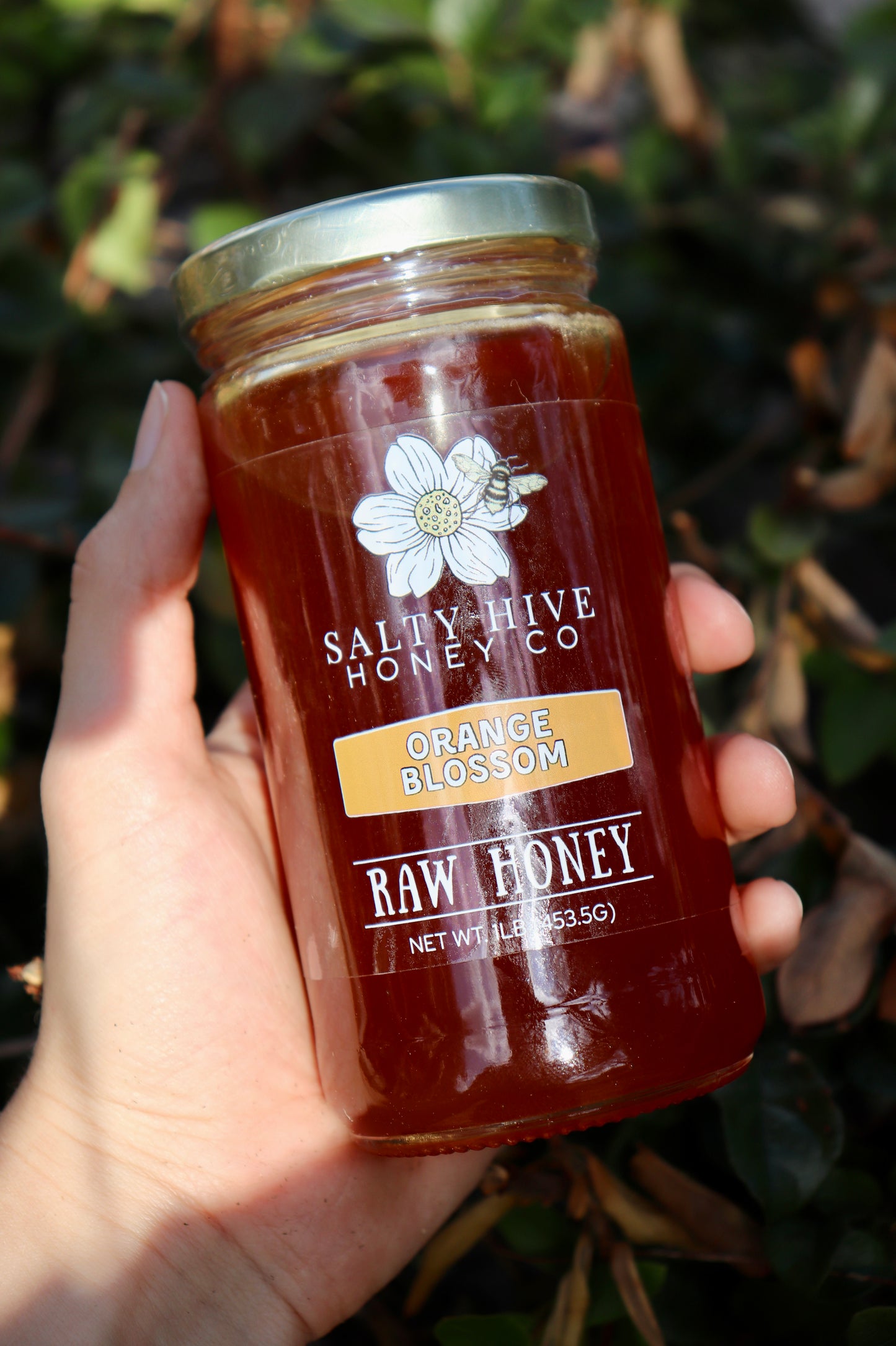 Orange Blossom Honey (1lb)