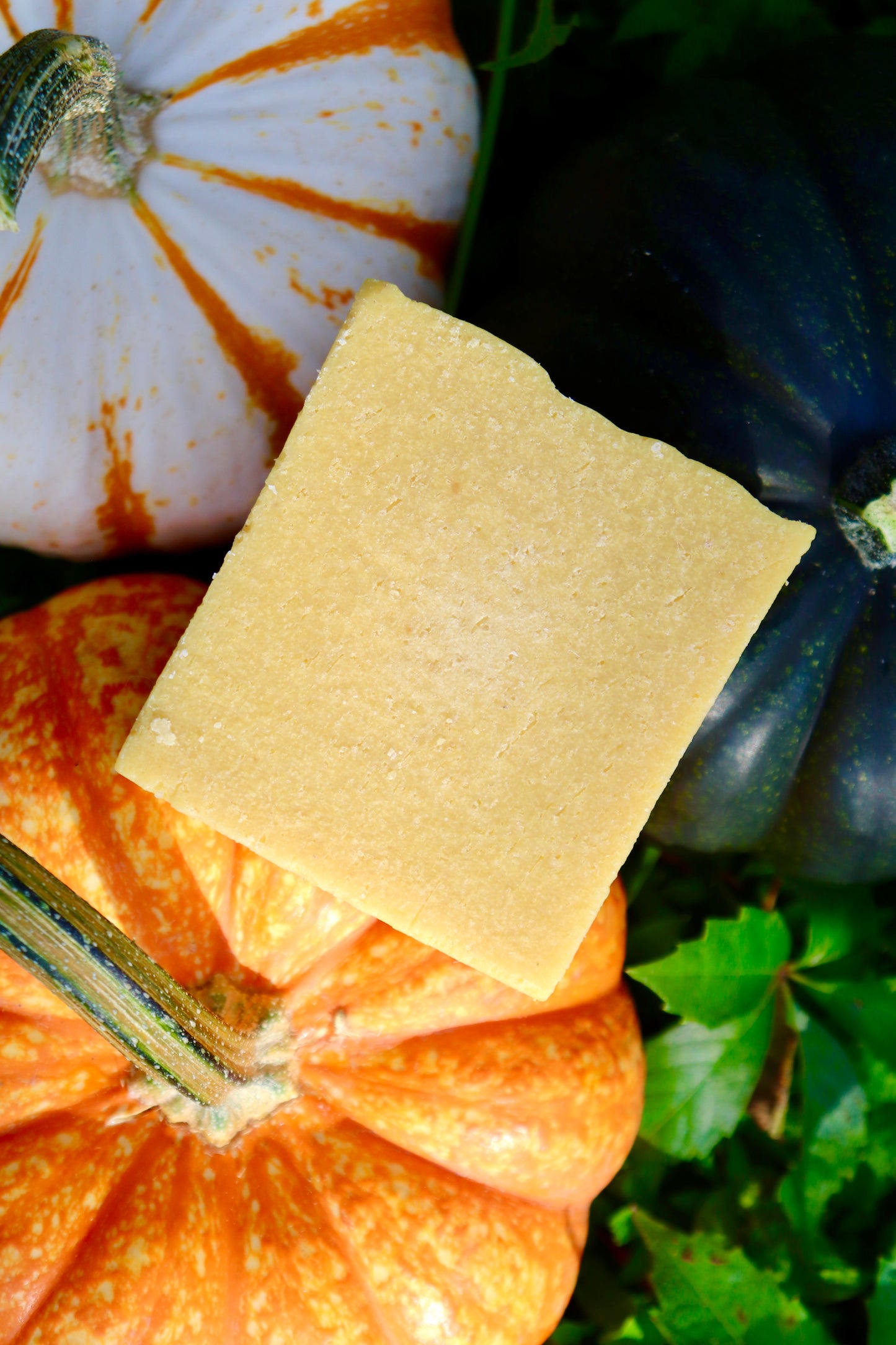 Pumkin Spice Sea Salt Soap