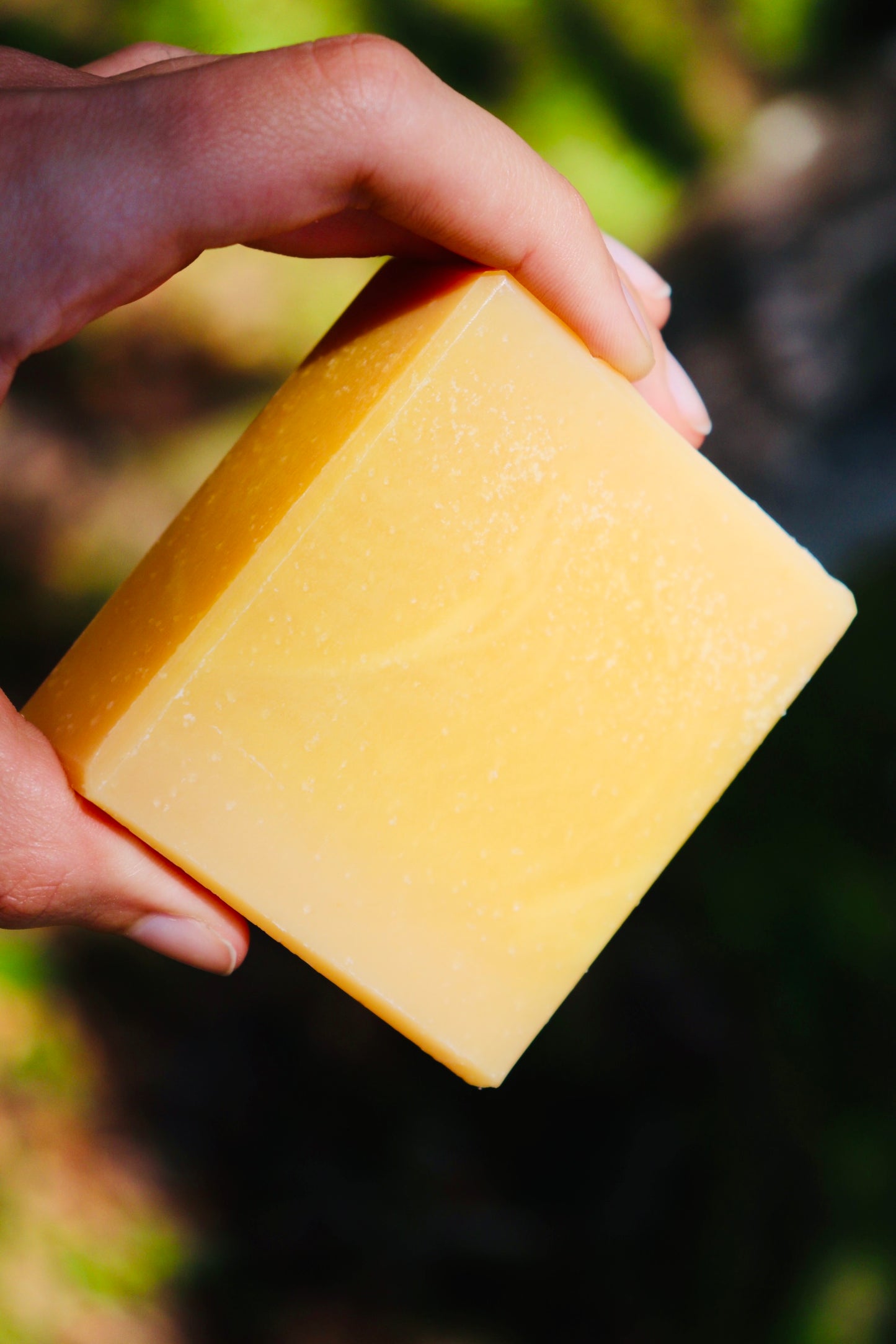 Probiotic Soap ~ Apple Cider Vinegar & Yogurt Recipe PDF