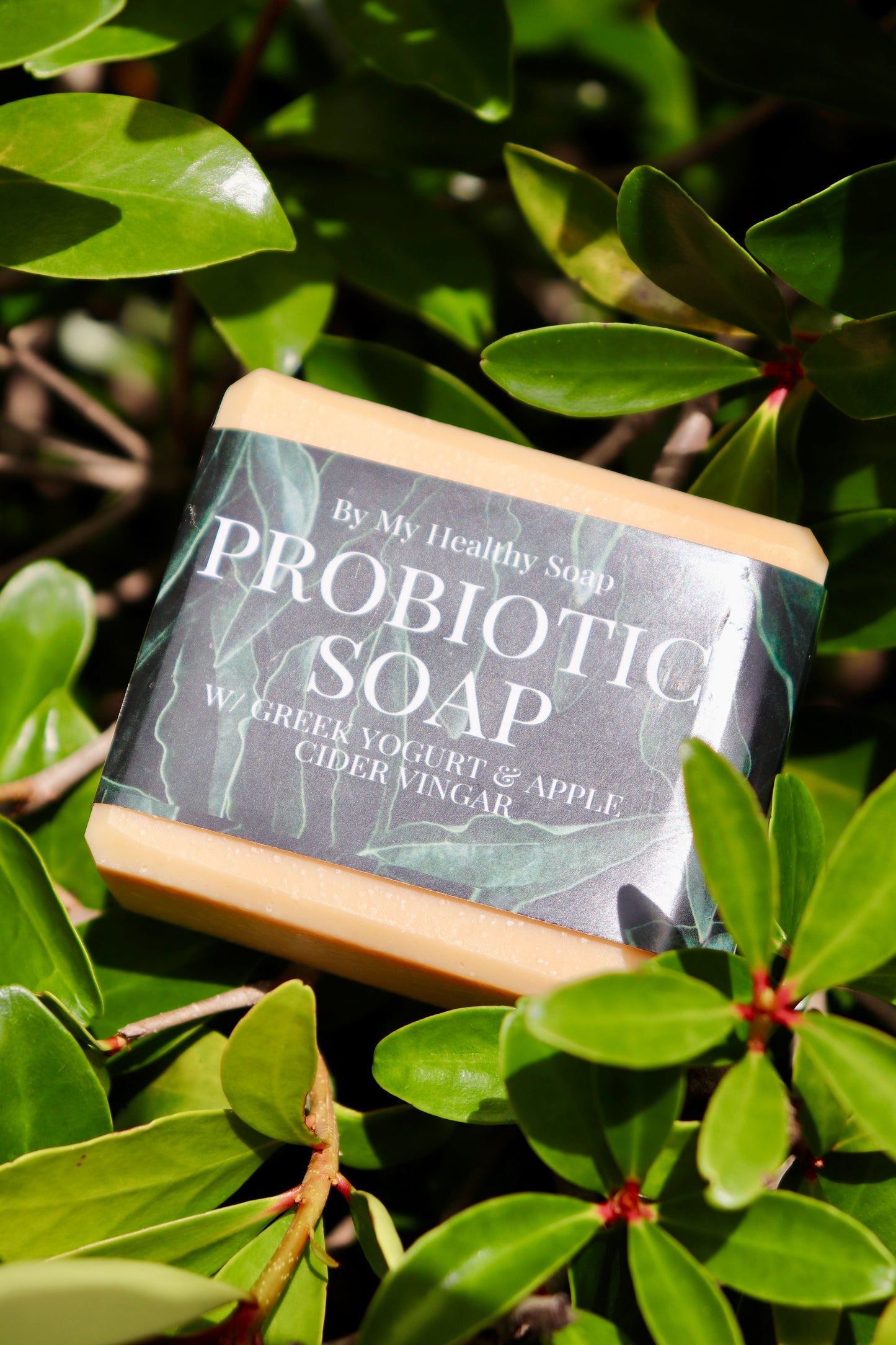 Probiotic Soap - Greek Yogurt & Apple Cider Vinegar