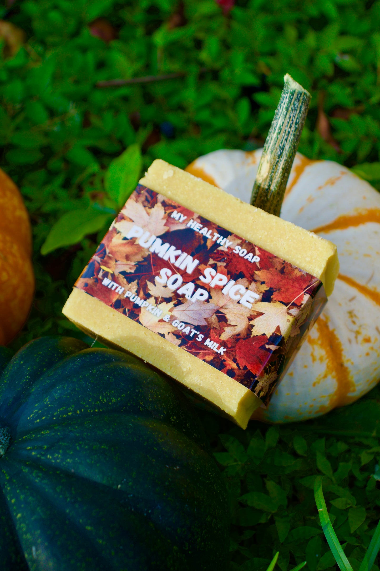 Pumkin Spice Sea Salt Soap
