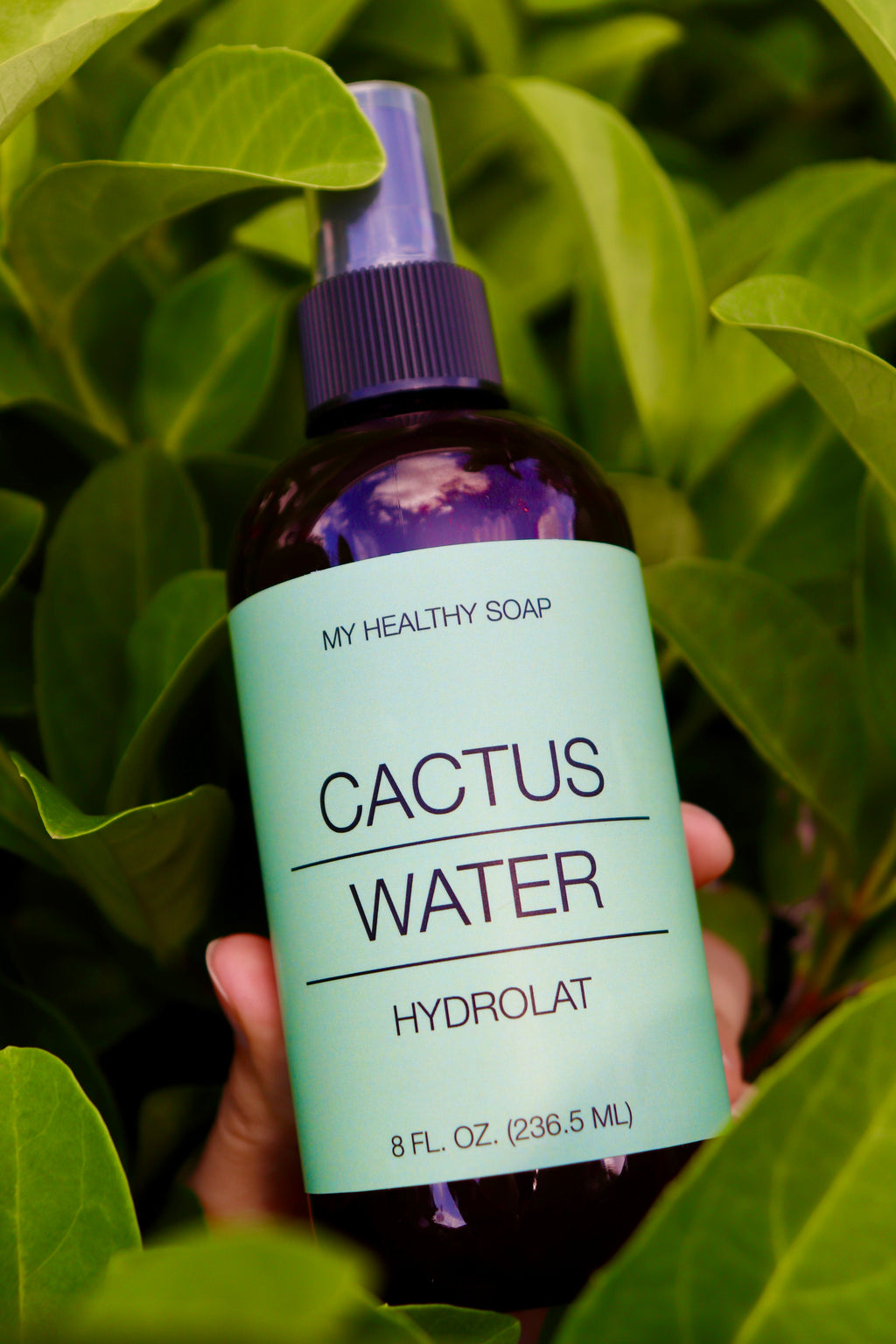 Cactus Hydrolat