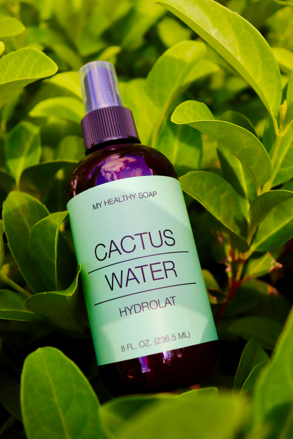 Cactus Hydrolat