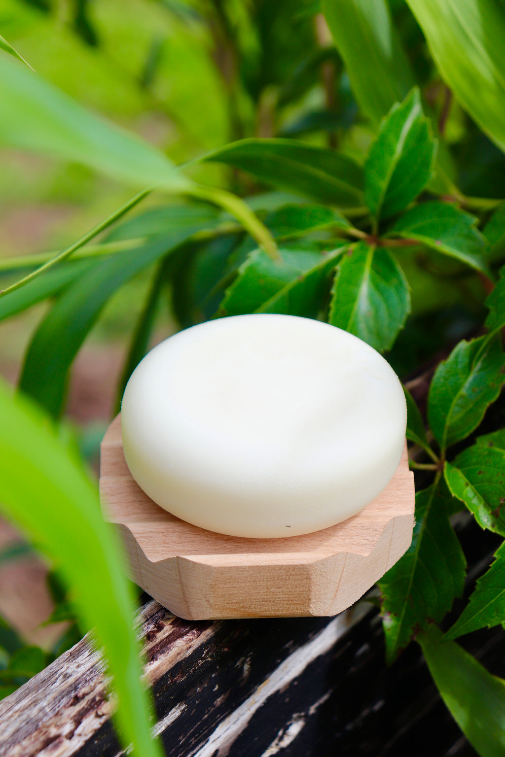 Crafting Non-Toxic Shampoo and Conditioner Bars Course