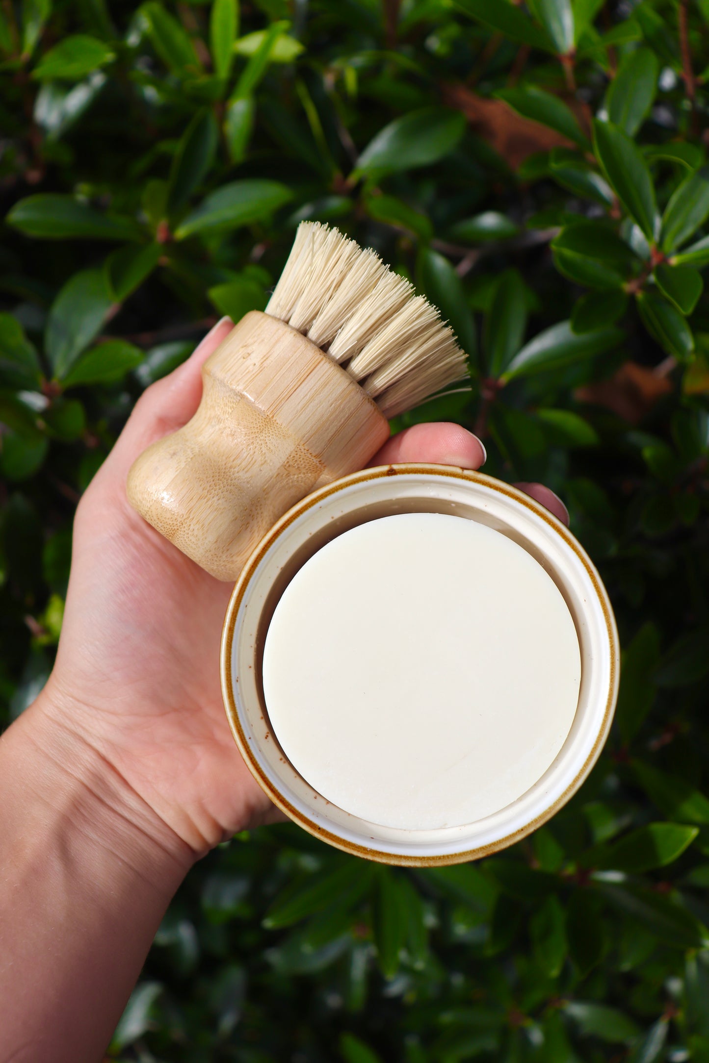 Eco-friendly Dish Set ~ Preorder Ships 11/1