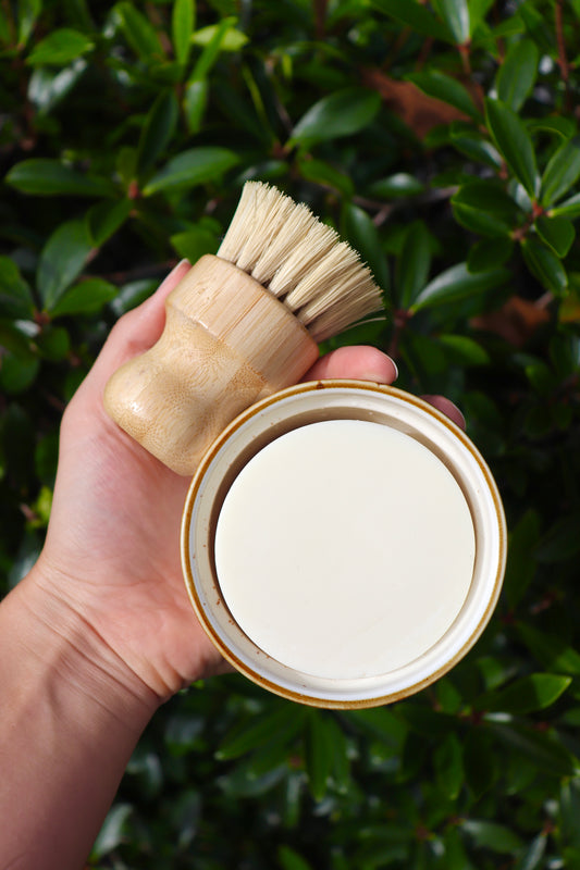 Eco-friendly Dish Set ~ Preorder Ships 11/1