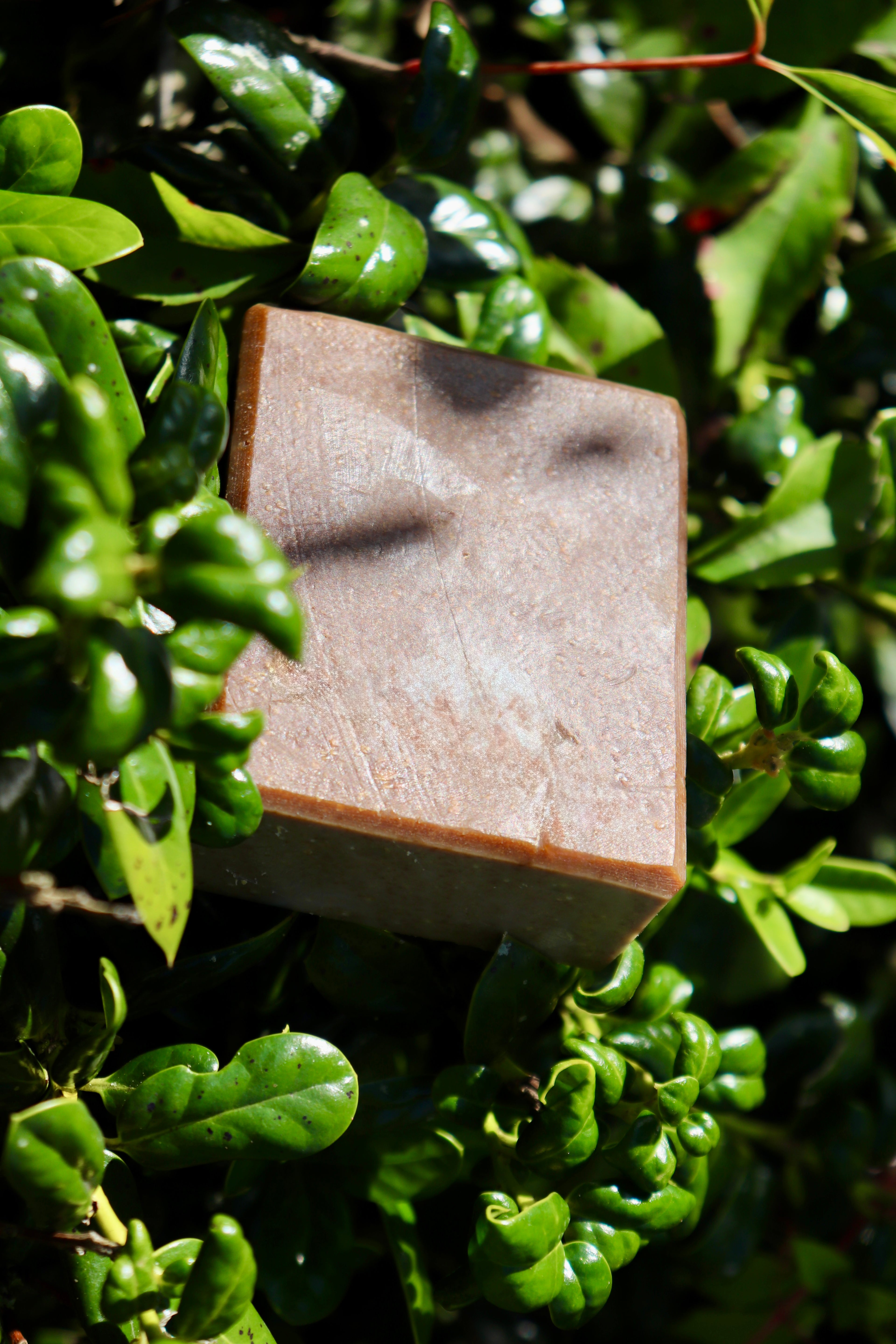 Herb & Hive Soap RECIPE PDF