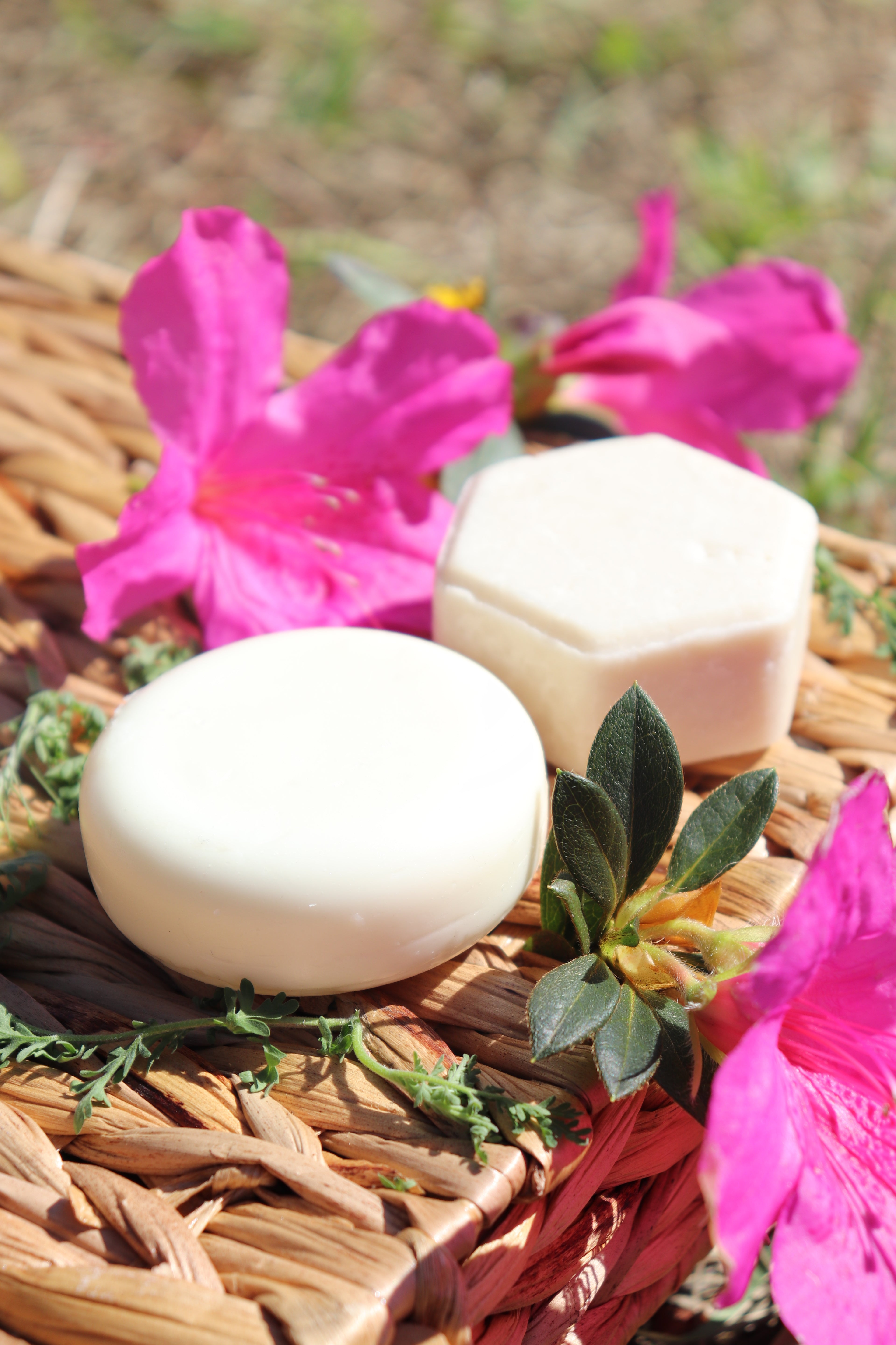 Shampoo & Conditioner Bar Set