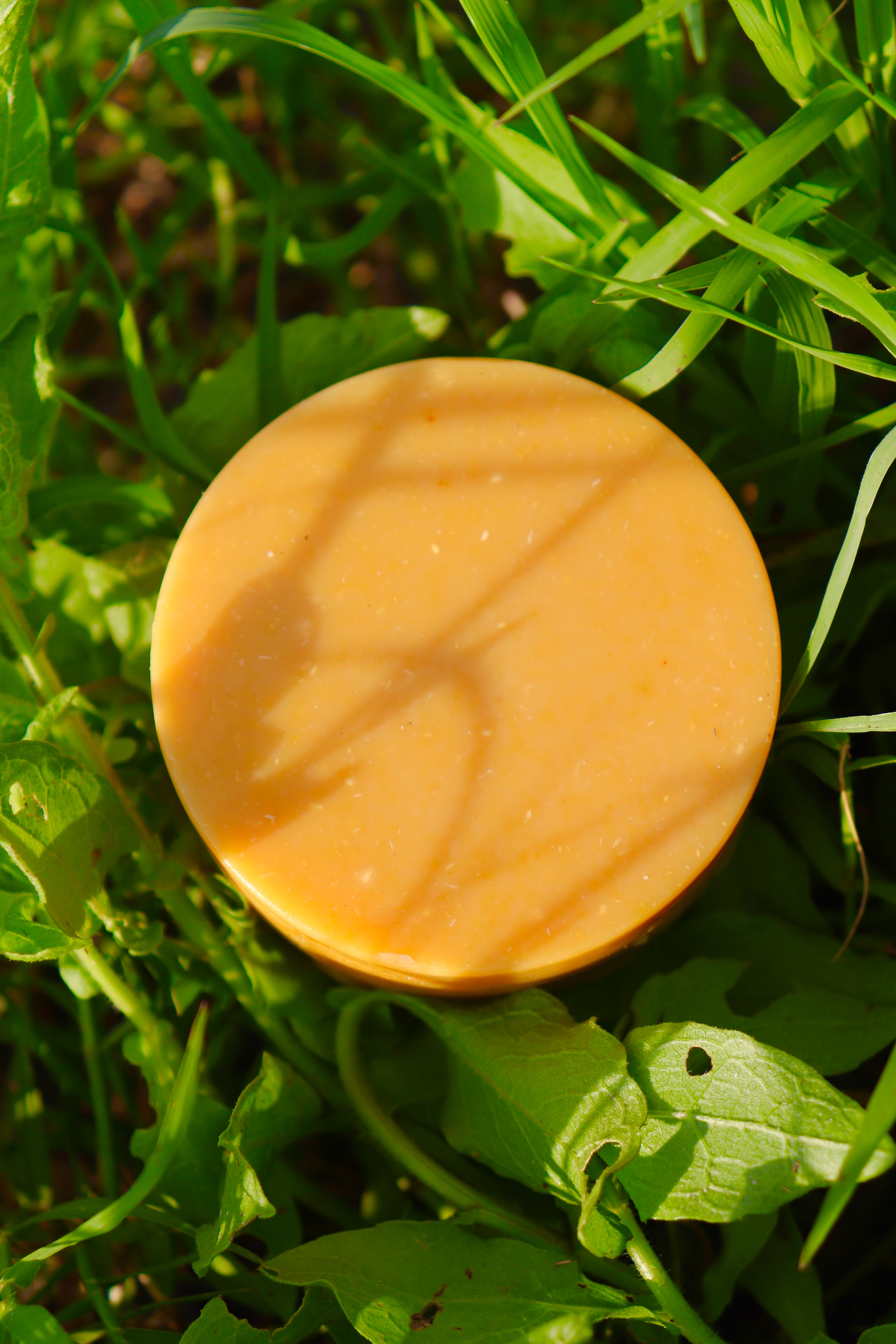 Kojic Acid, Turmeric, & Carrot Juice Soap Recipe PDF