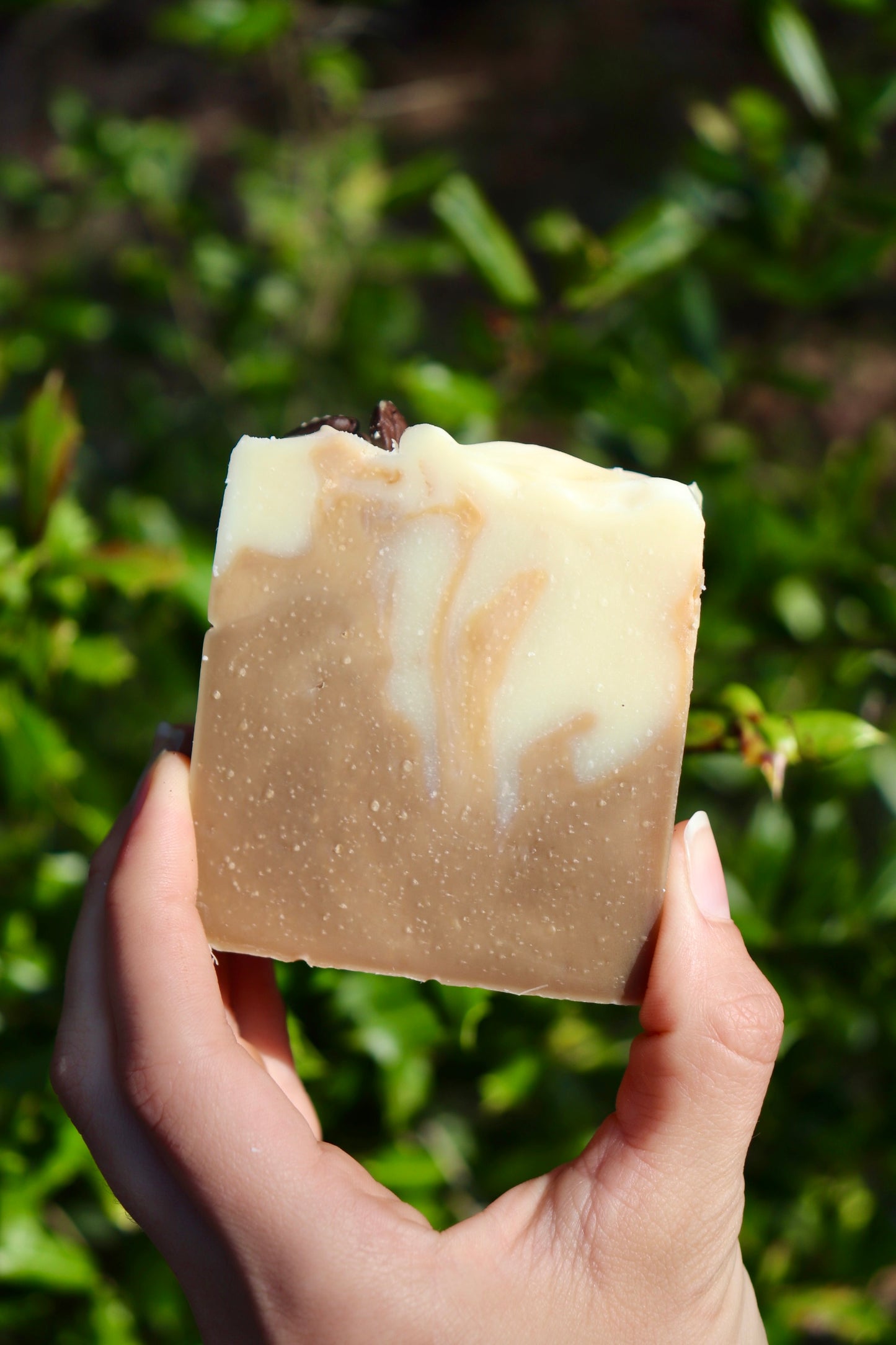 Fresh Brew Coffee Soap Recipe PDF