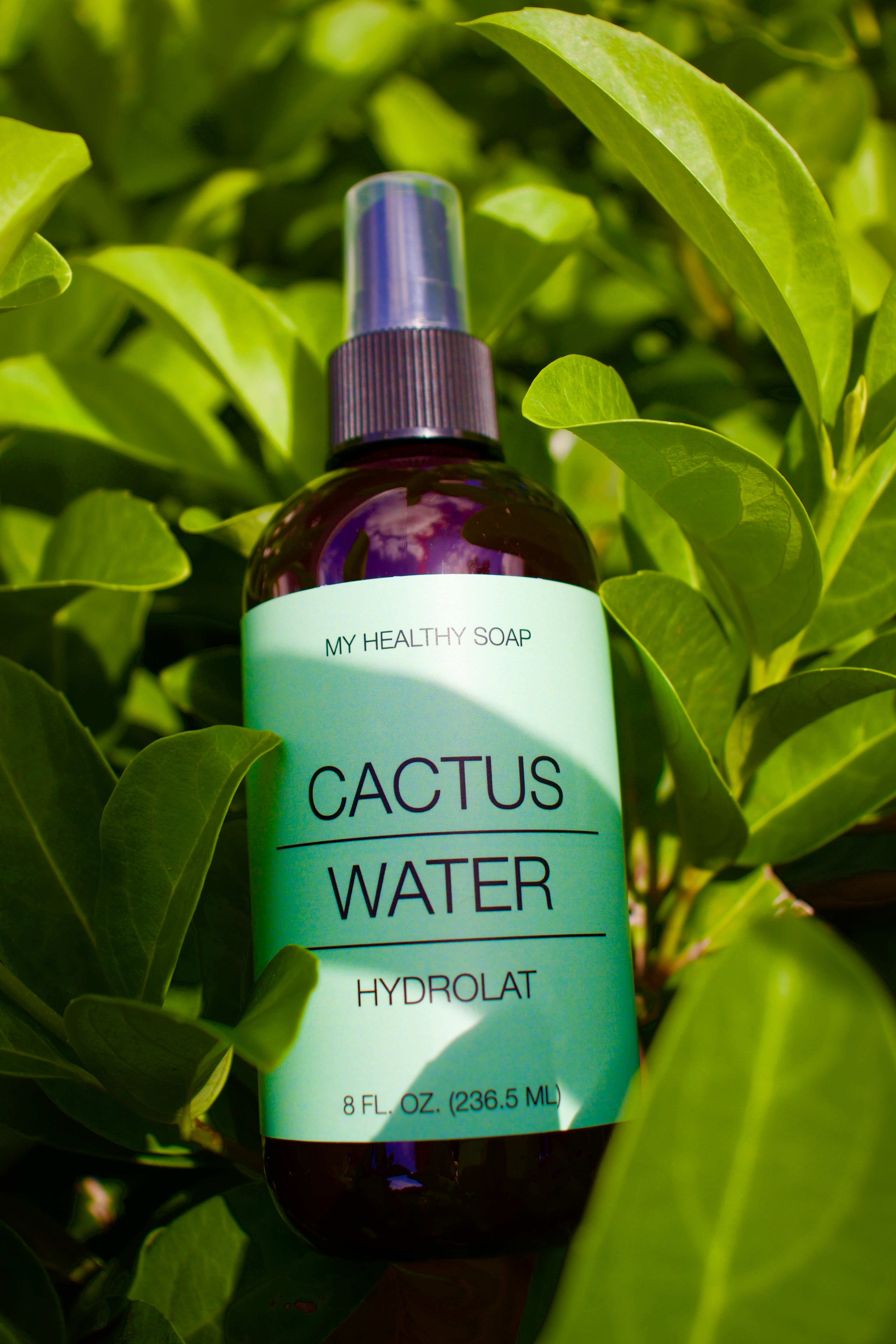 Cactus Hydrolat