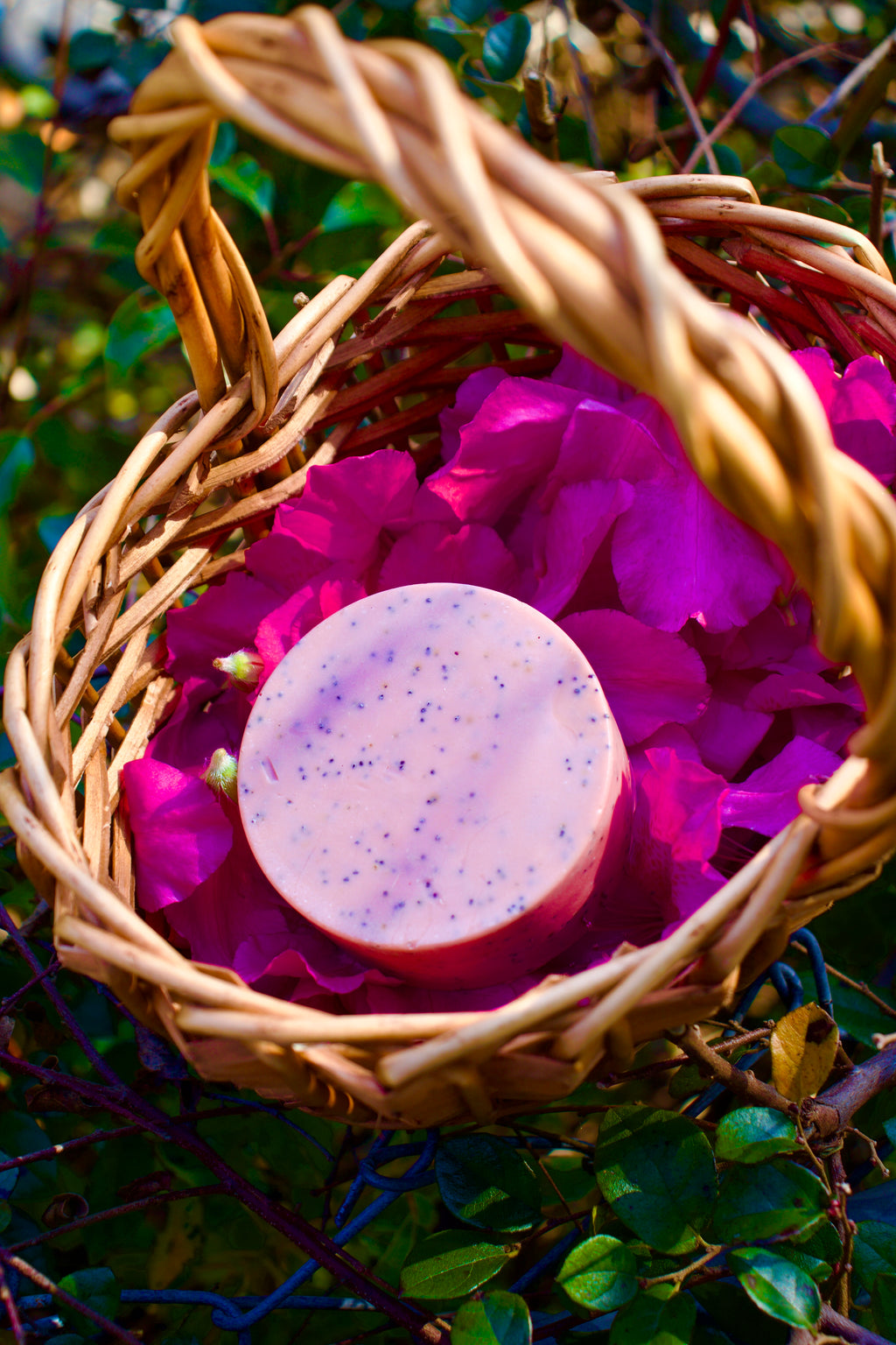 Pink Dragon Fruit Soap