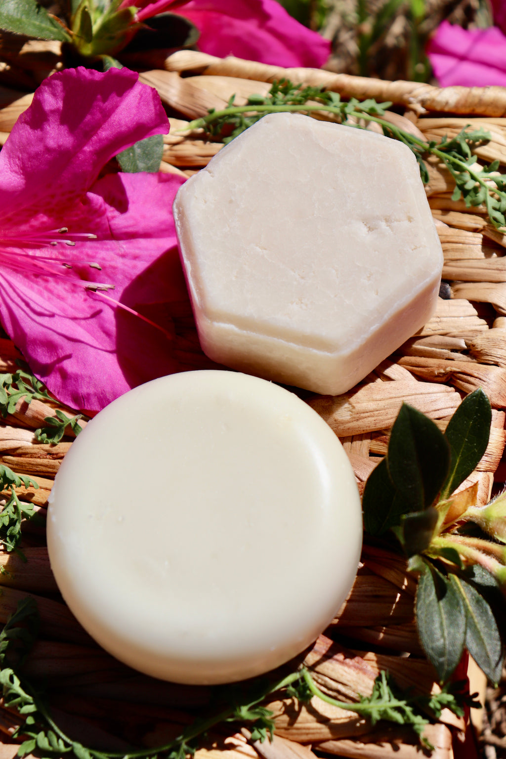 Shampoo & Conditioner Bar Set