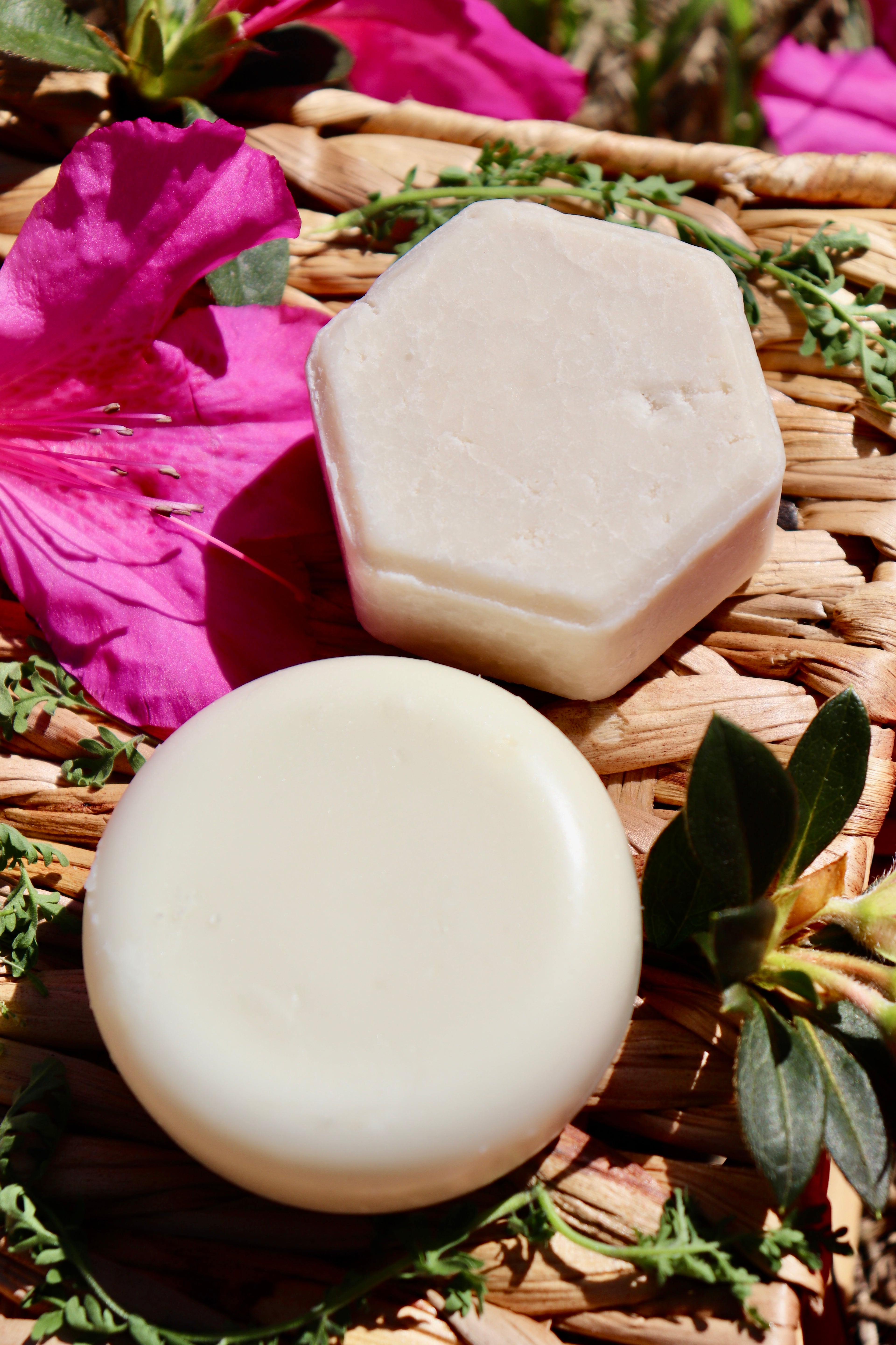 Shampoo & Conditioner Bar Set