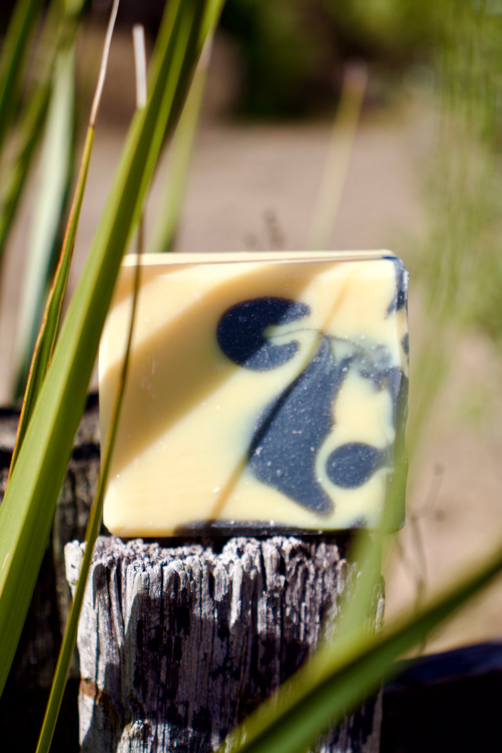 Twisted Citrus Soap Recipe PDF