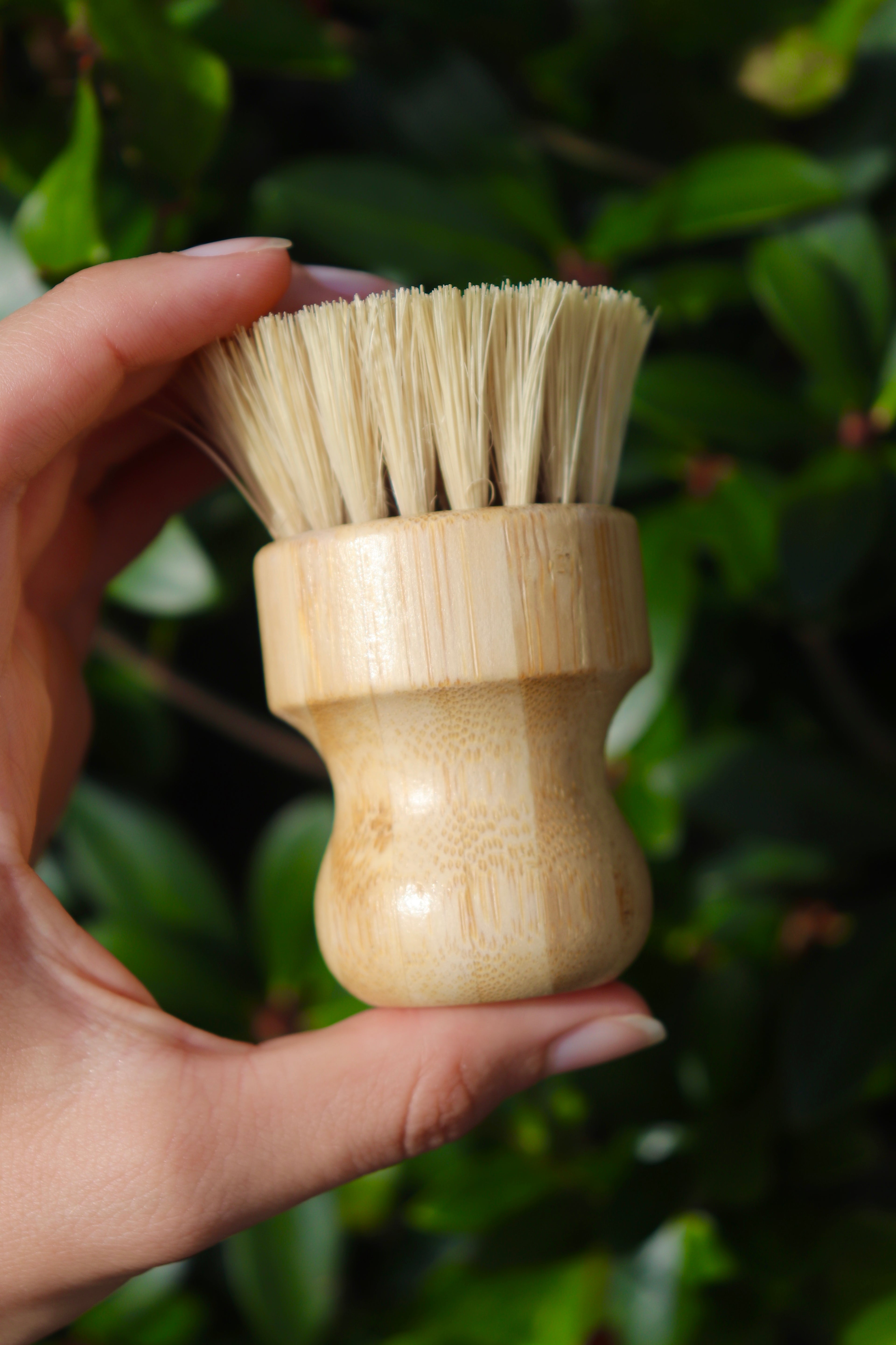 Bamboo Dish Brush