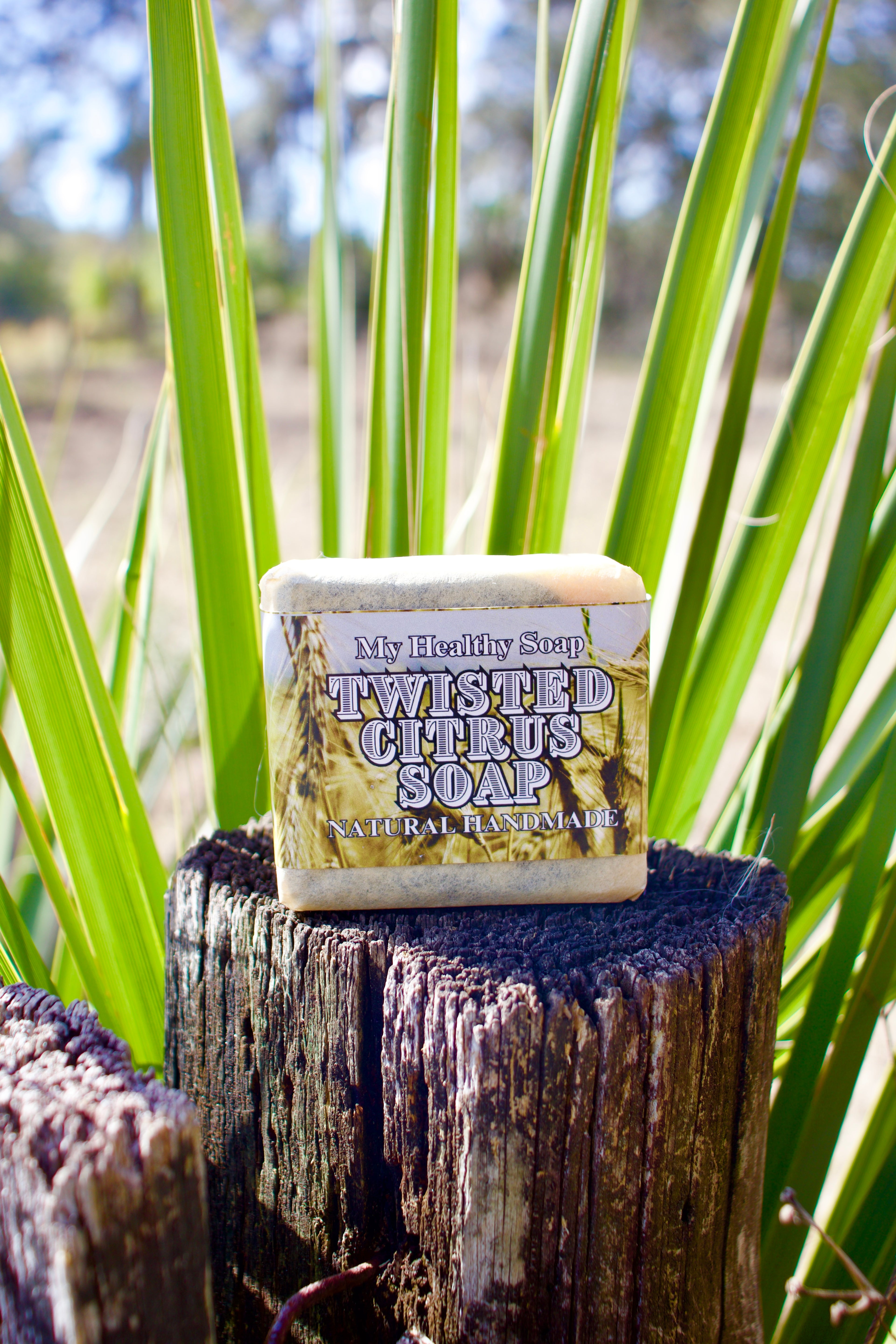 Twisted Citrus Soap Recipe PDF