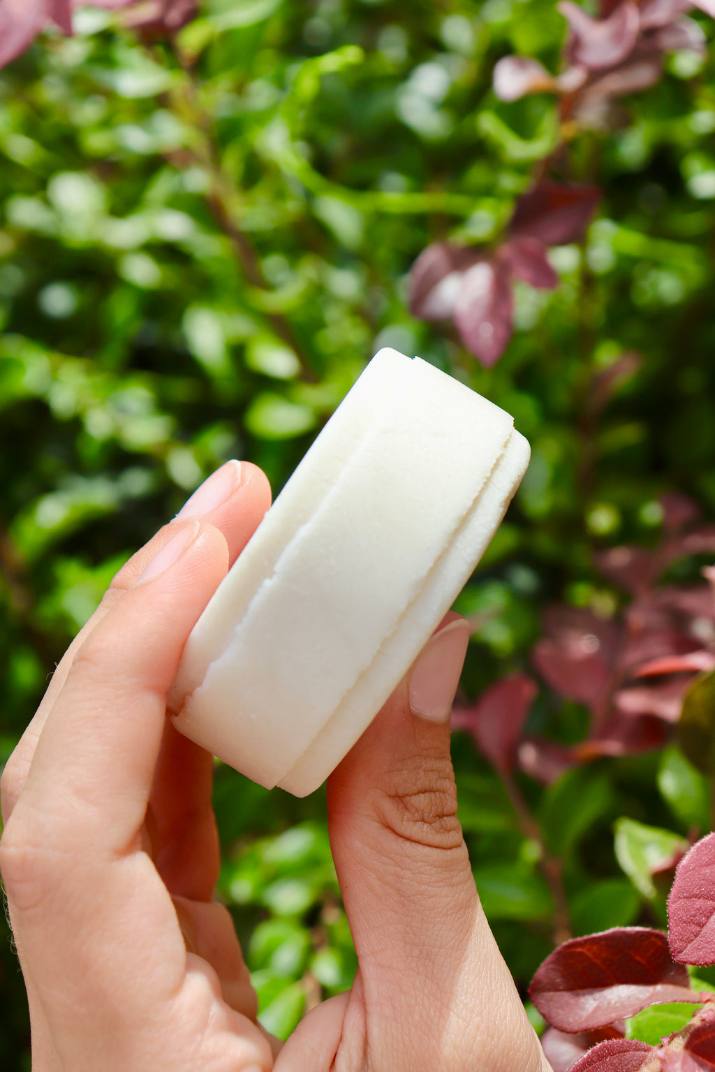 Crafting Non-Toxic Shampoo and Conditioner Bars Course