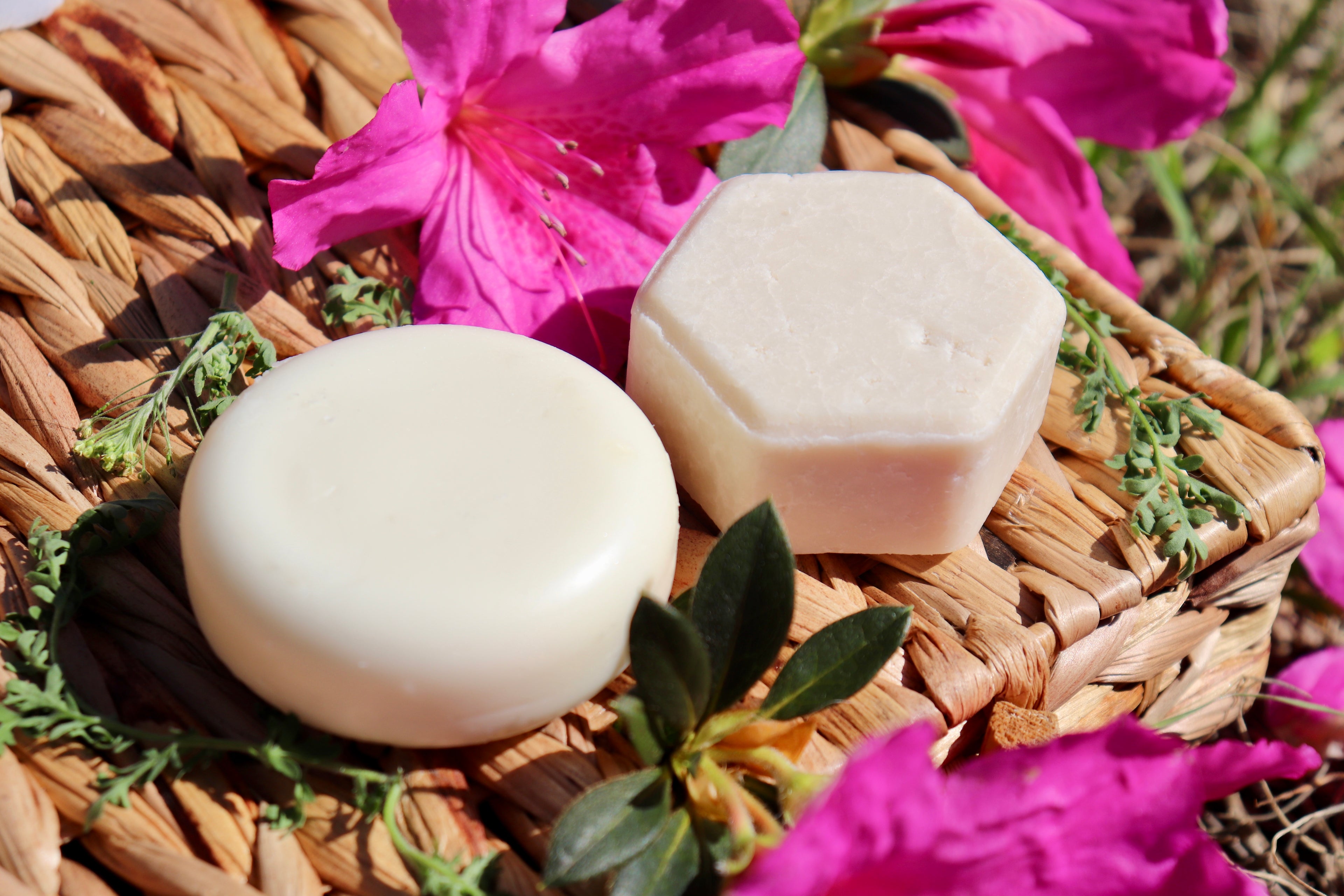 Shampoo & Conditioner Bar Set