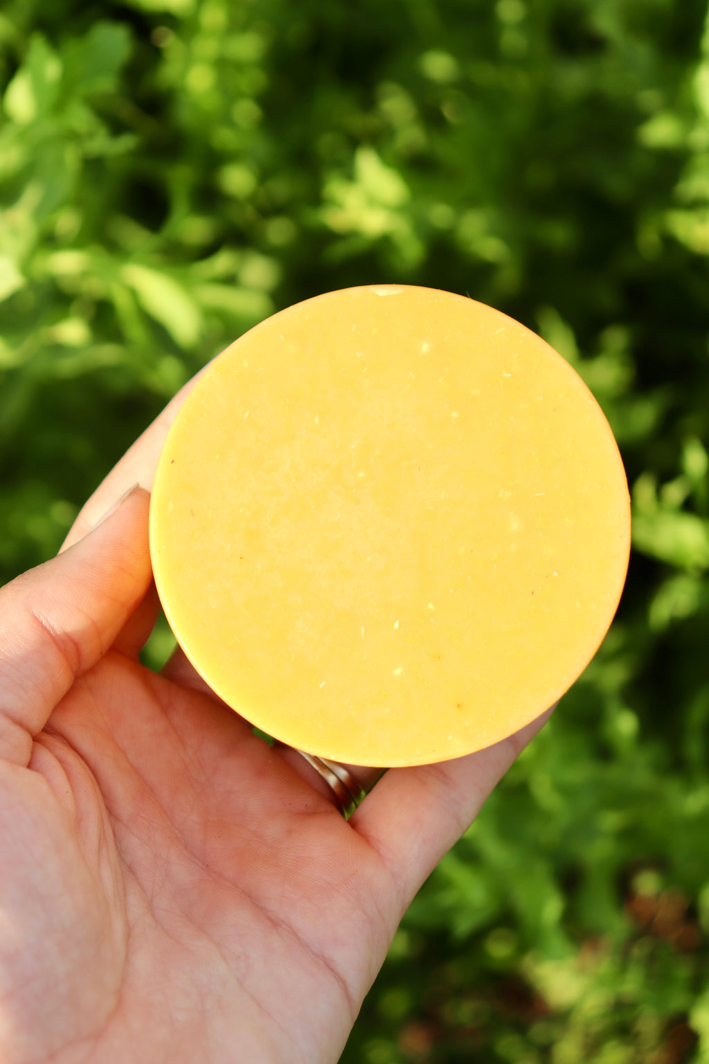 Kojic Acid, Turmeric, & Carrot Juice Soap Recipe PDF