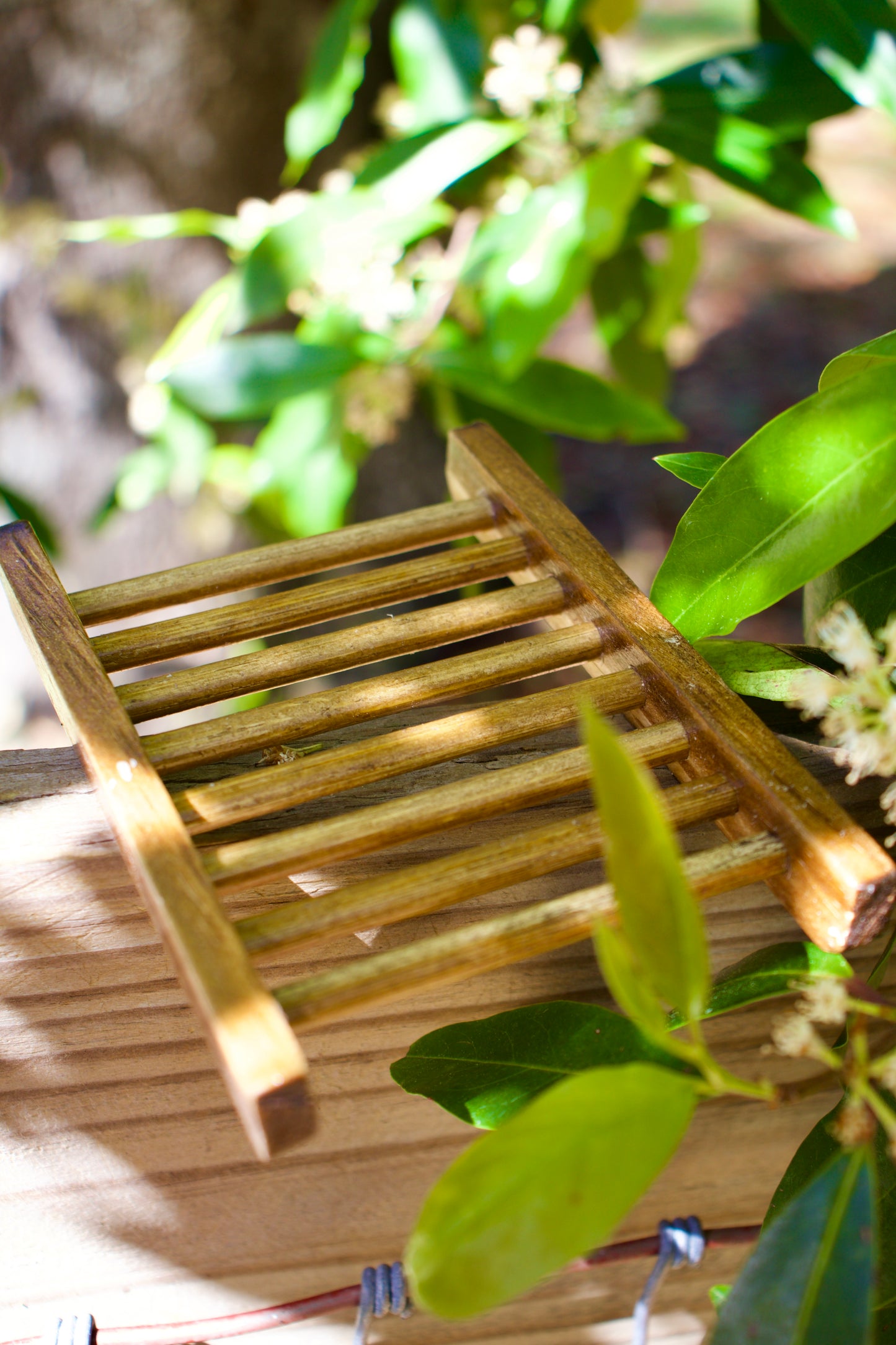 Wood Soap Saver