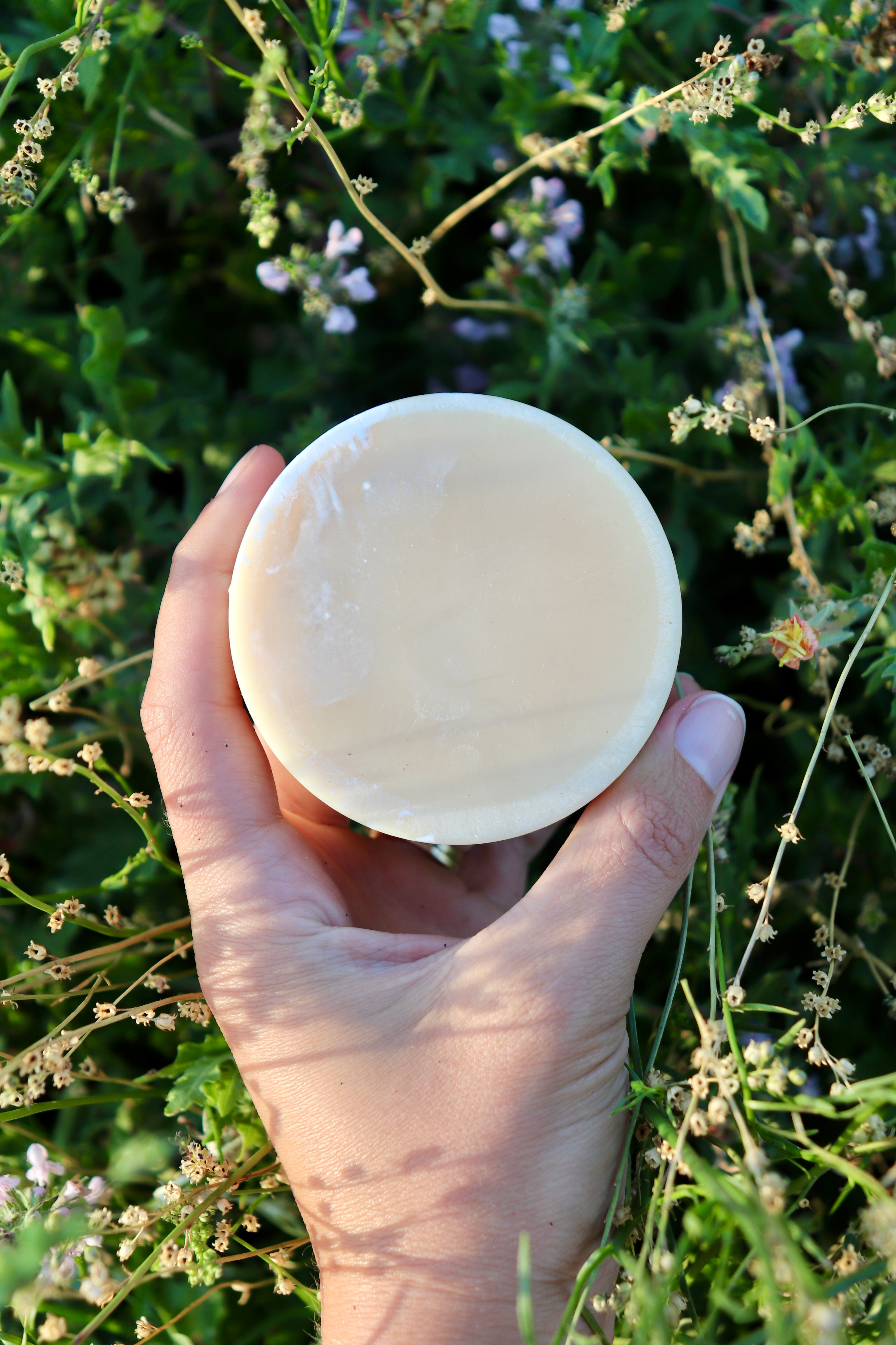 Tallow & Honey Soap - Lavender