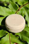 Shampoo Bar