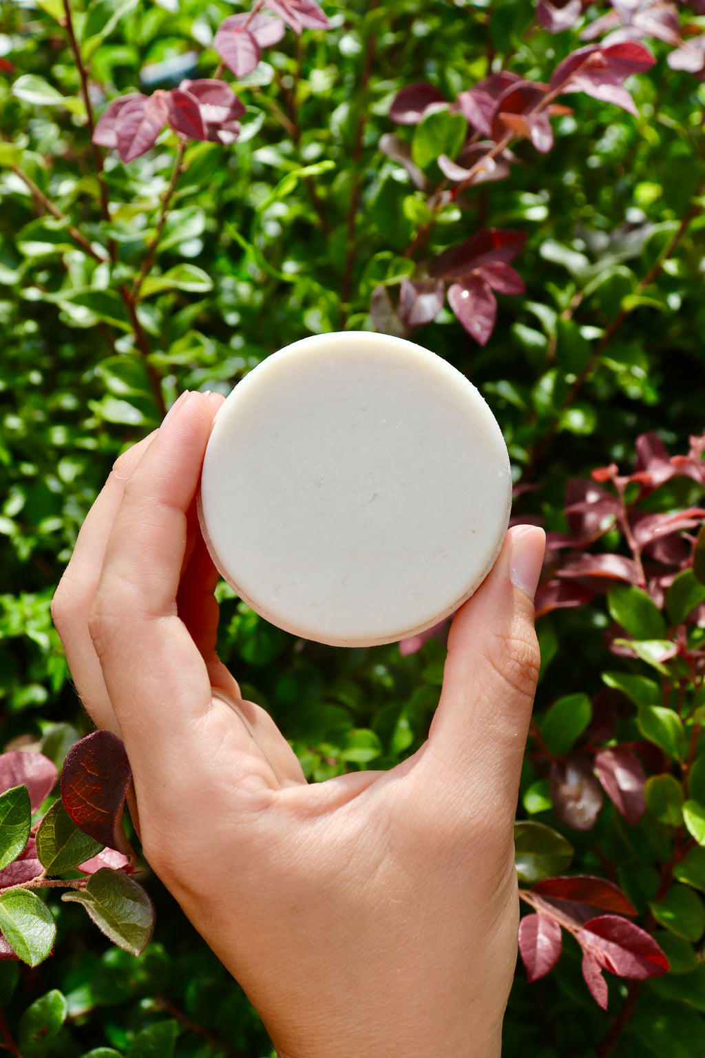 Crafting Non-Toxic Shampoo and Conditioner Bars Course