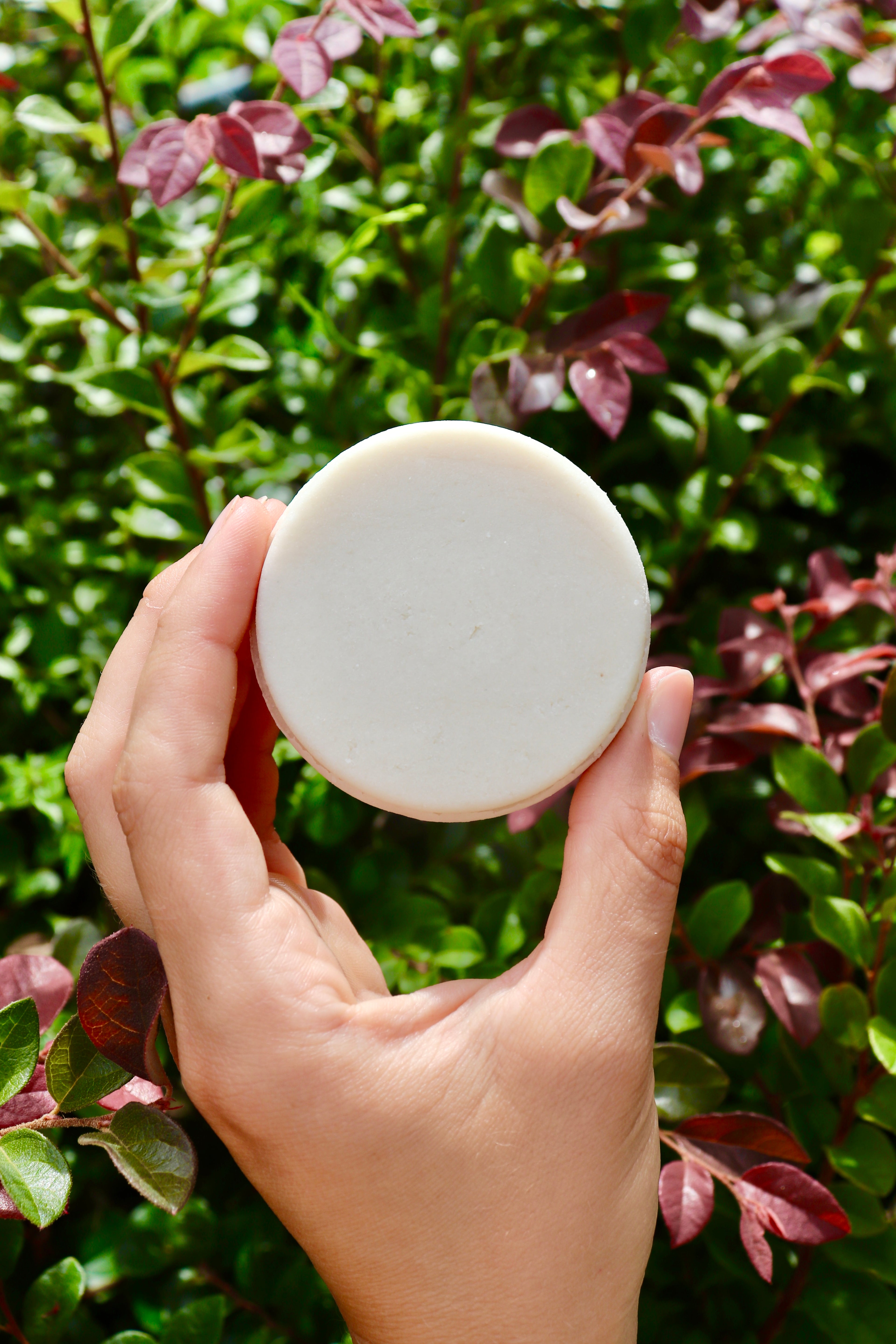 Crafting Non-Toxic Shampoo and Conditioner Bars Course