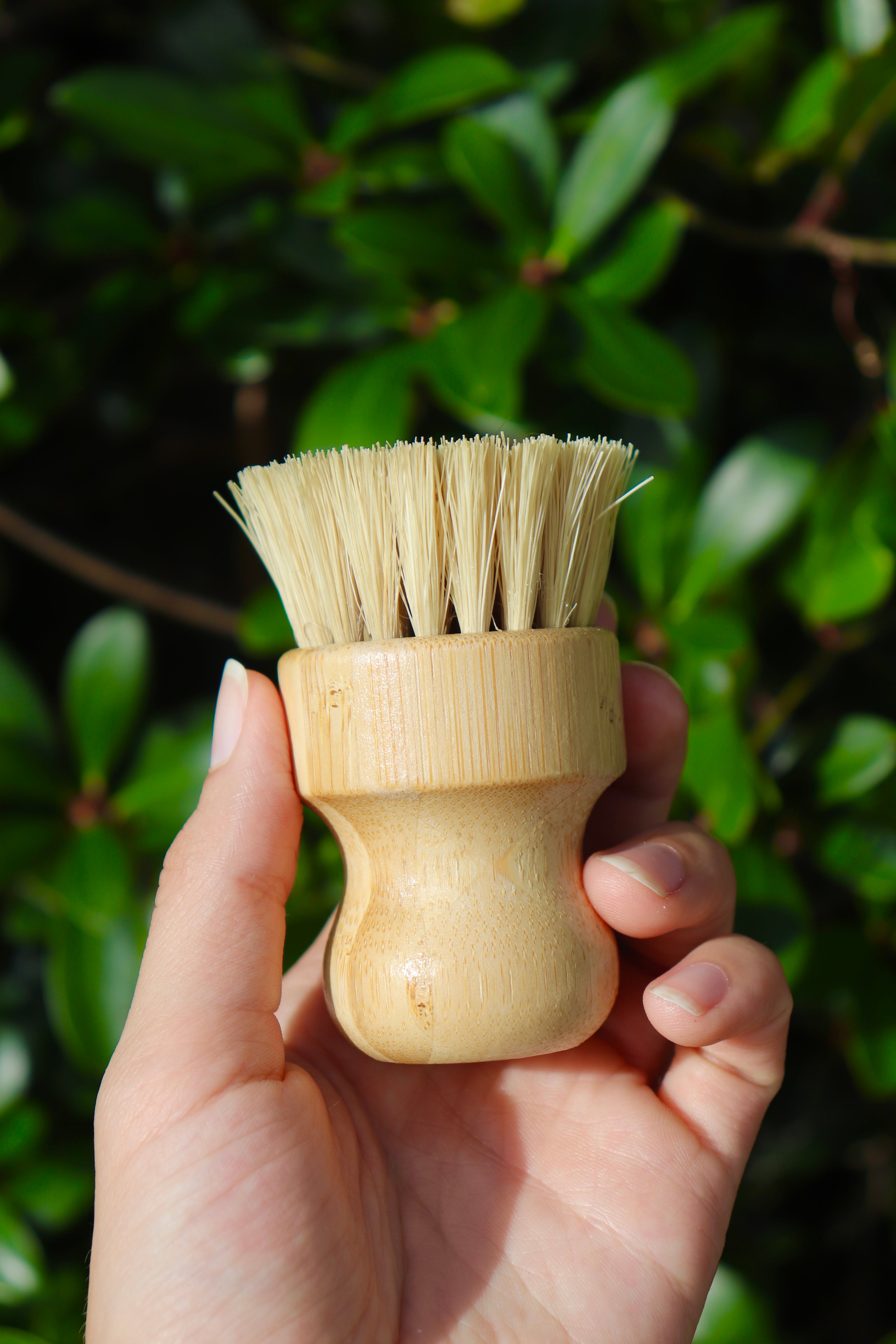 Bamboo Dish Brush
