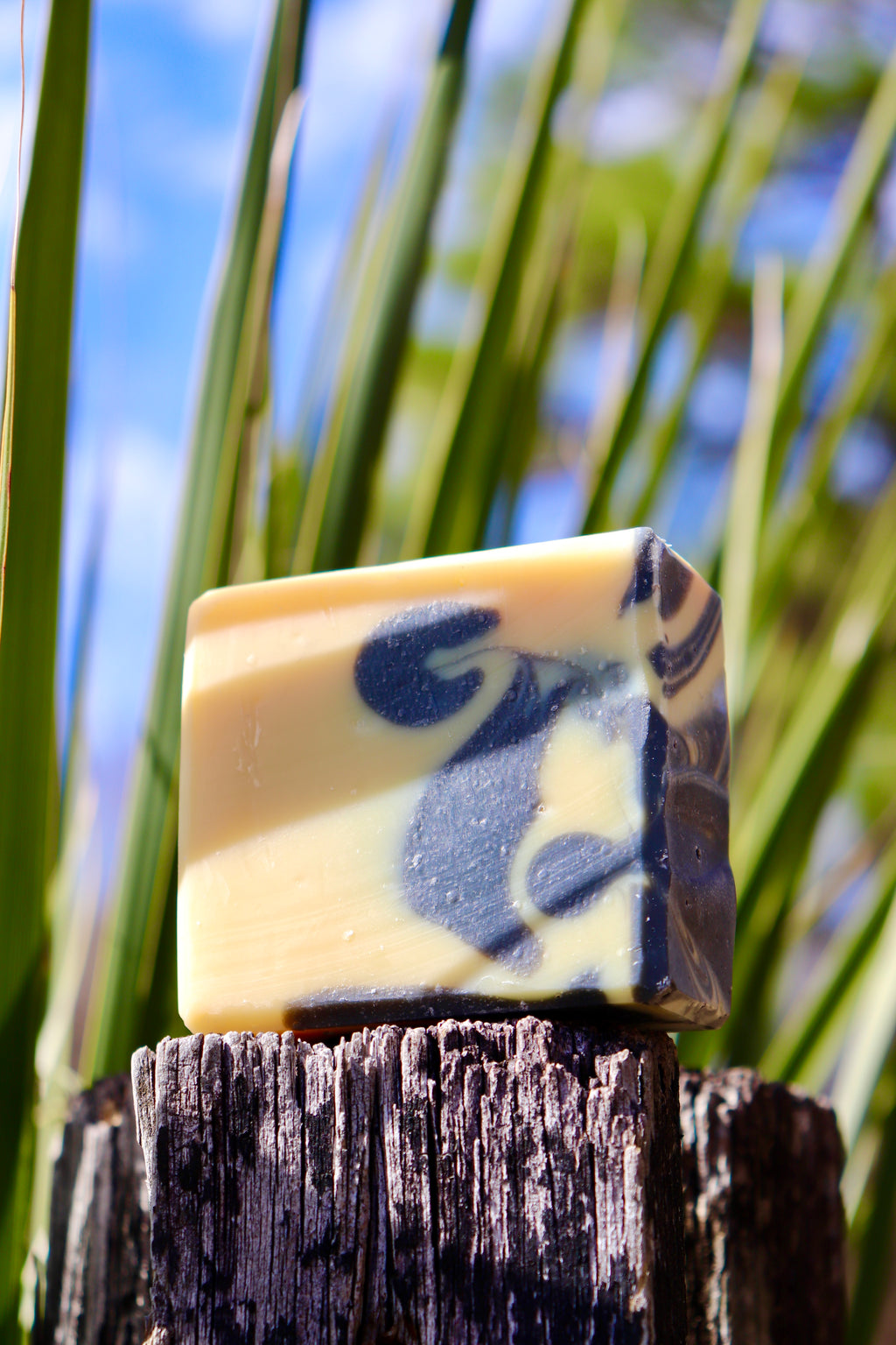 Twisted Citrus Soap Recipe PDF