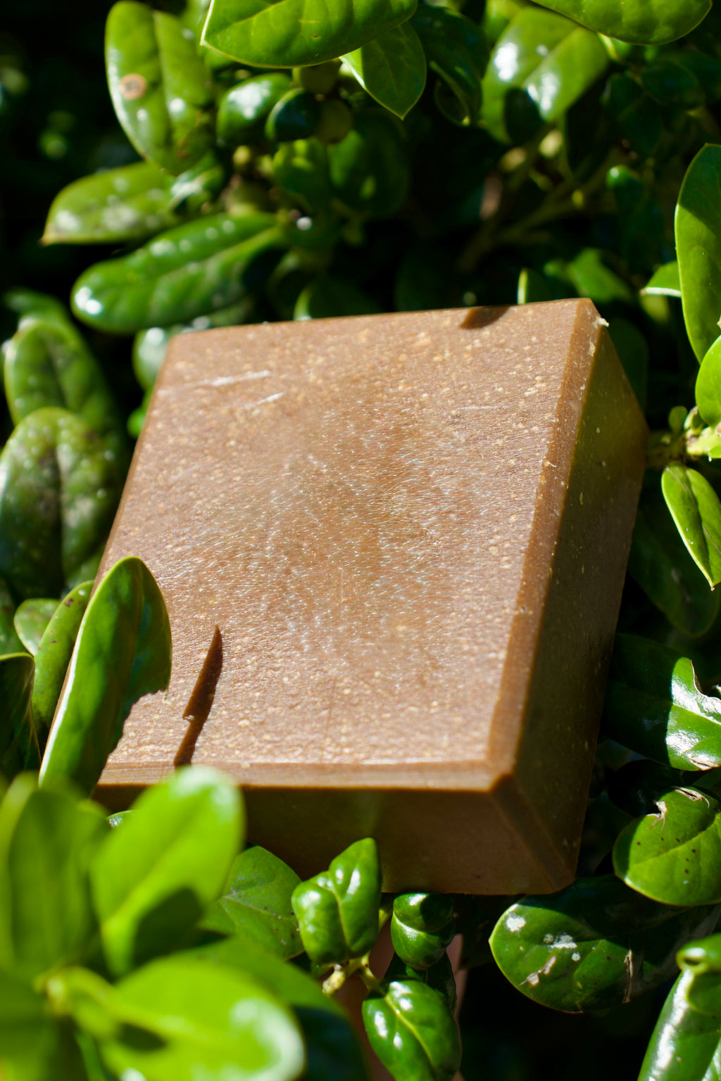 Herb & Hive Soap RECIPE PDF