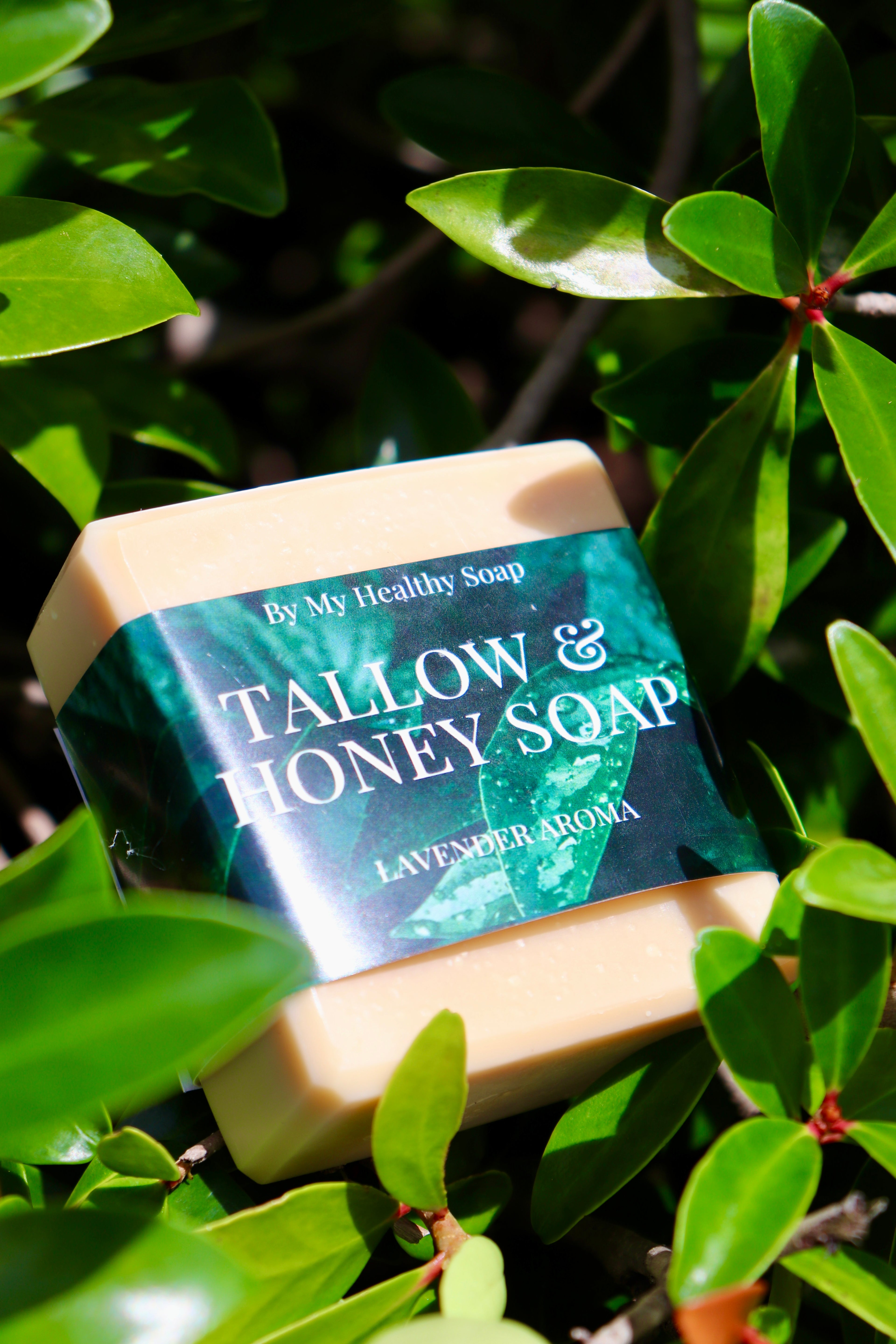 Tallow & Honey Soap - Lavender