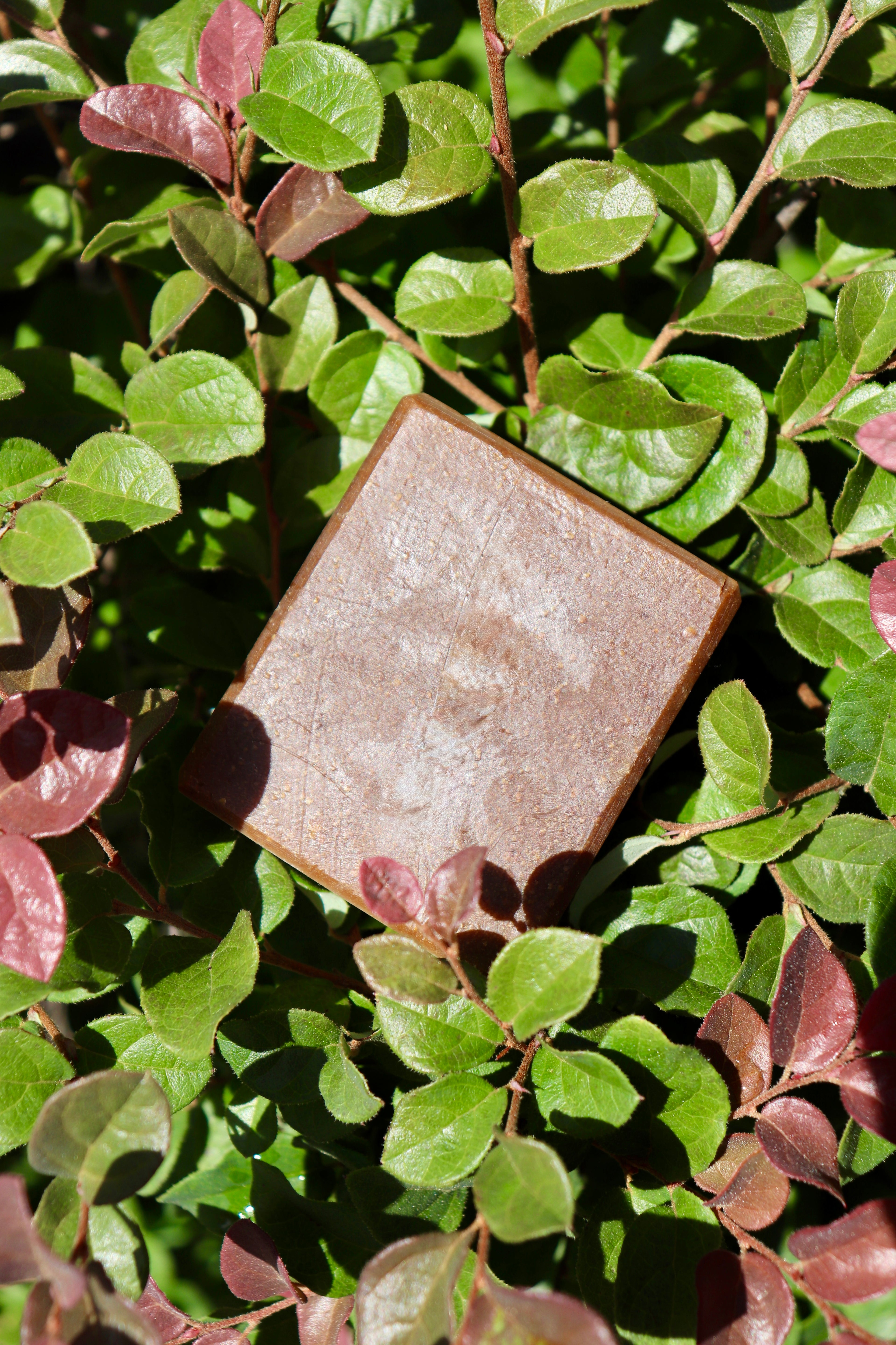 Herb & Hive Soap RECIPE PDF