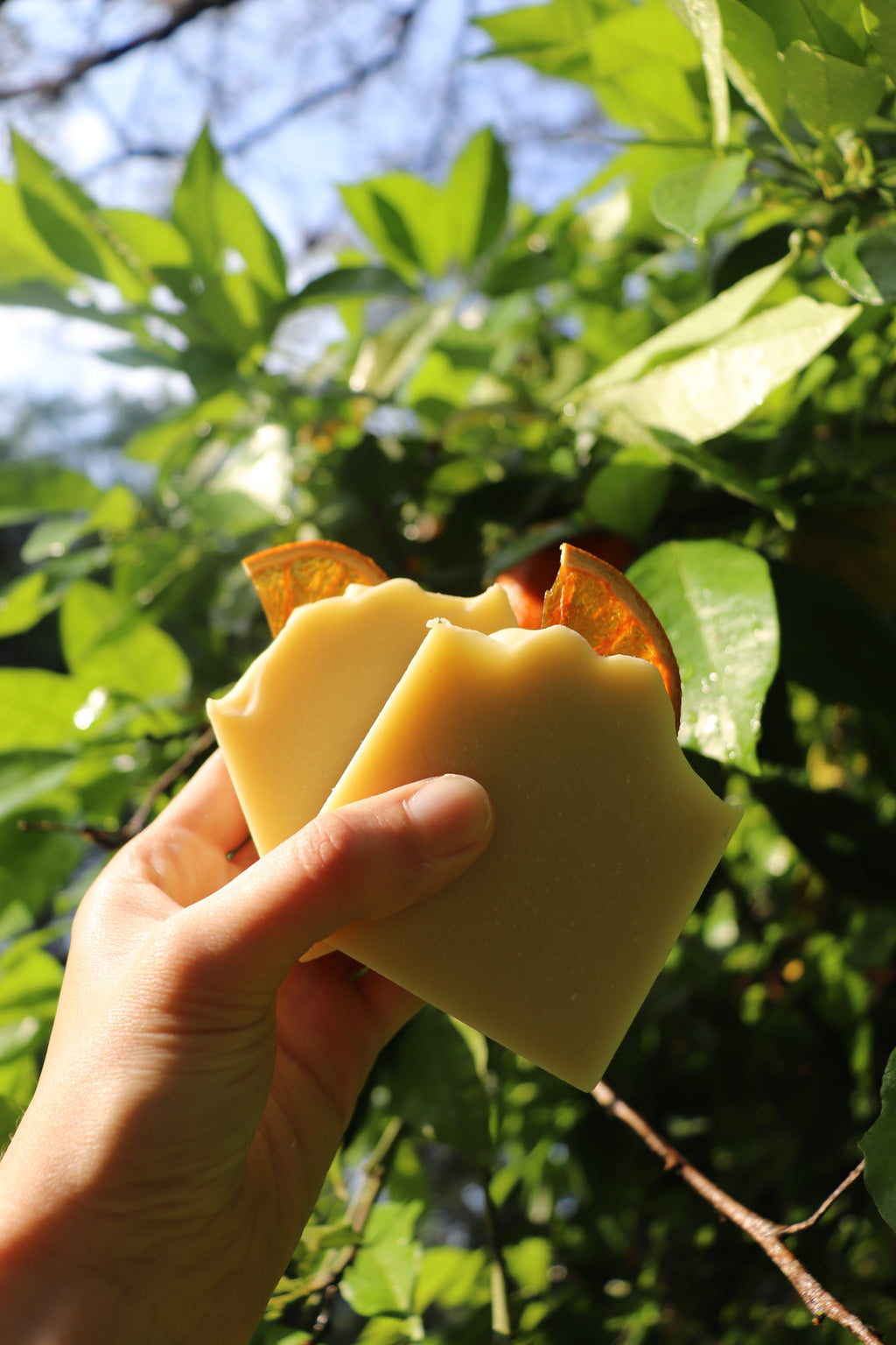 Milk Based Natural Soap Mini Course