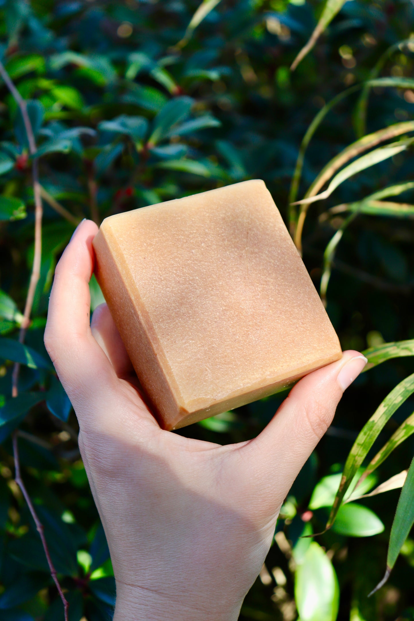 Honey Cloud Soap Recipe PDF