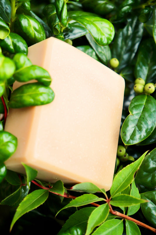 Tallow & Honey Soap RECIPE PDF
