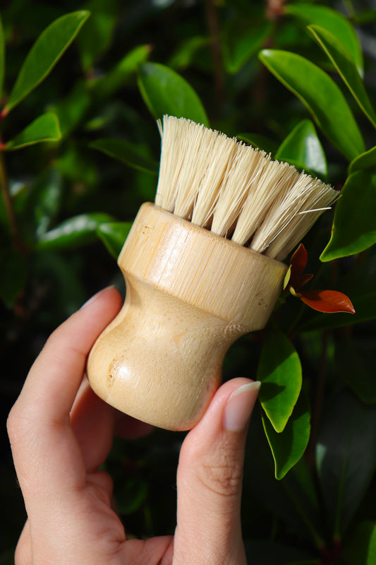 Bamboo Dish Brush ~ Preorder ships 11/1