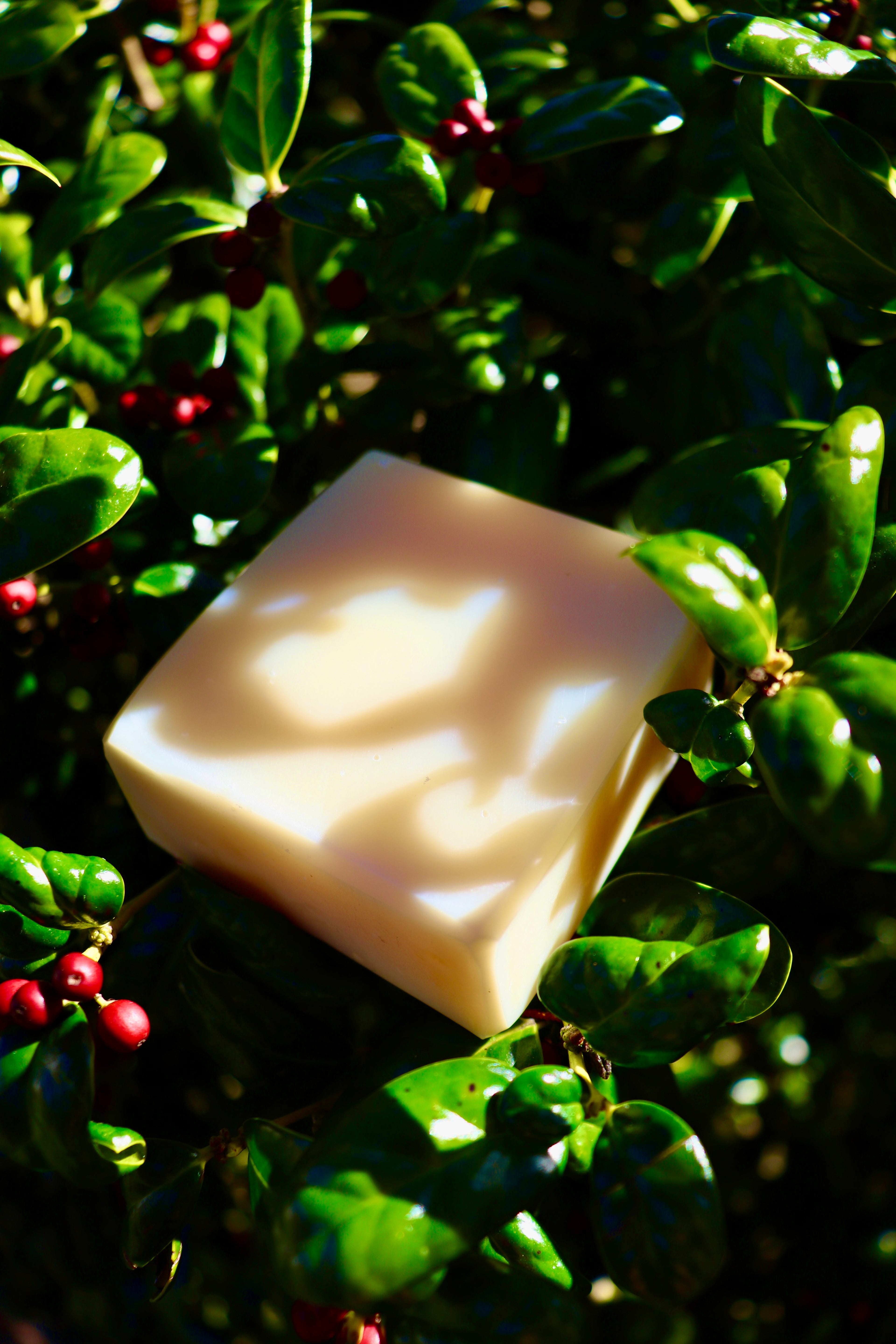 Radiant Rose PDF Recipe