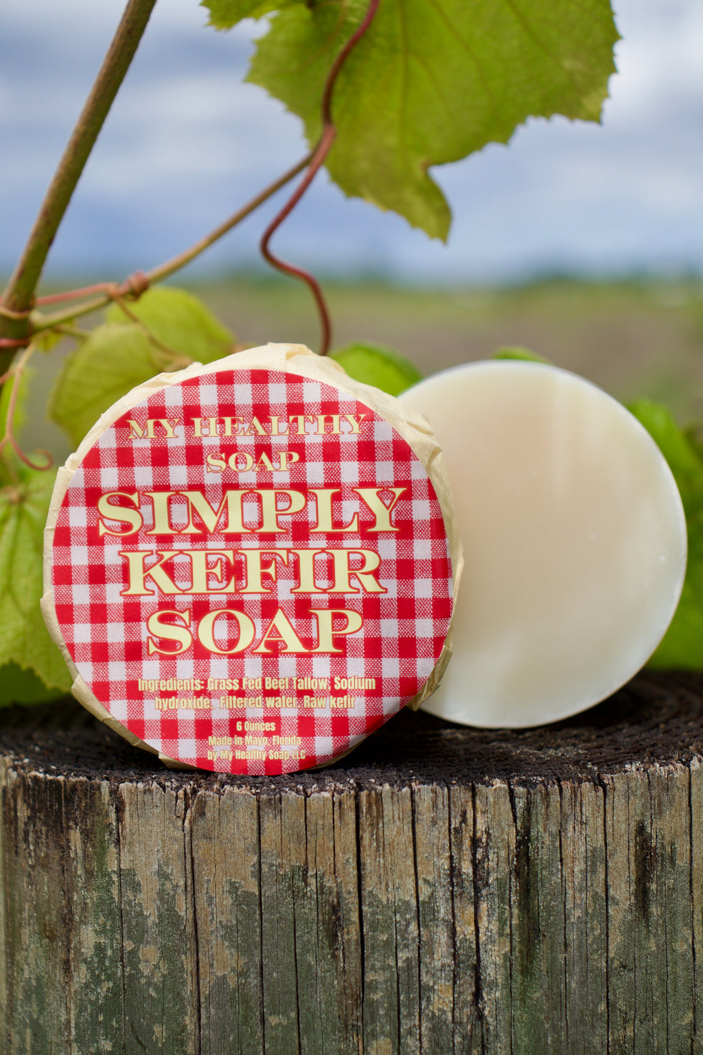 Simply Kefir Soap Recipe (Beginner Friendly) PDF