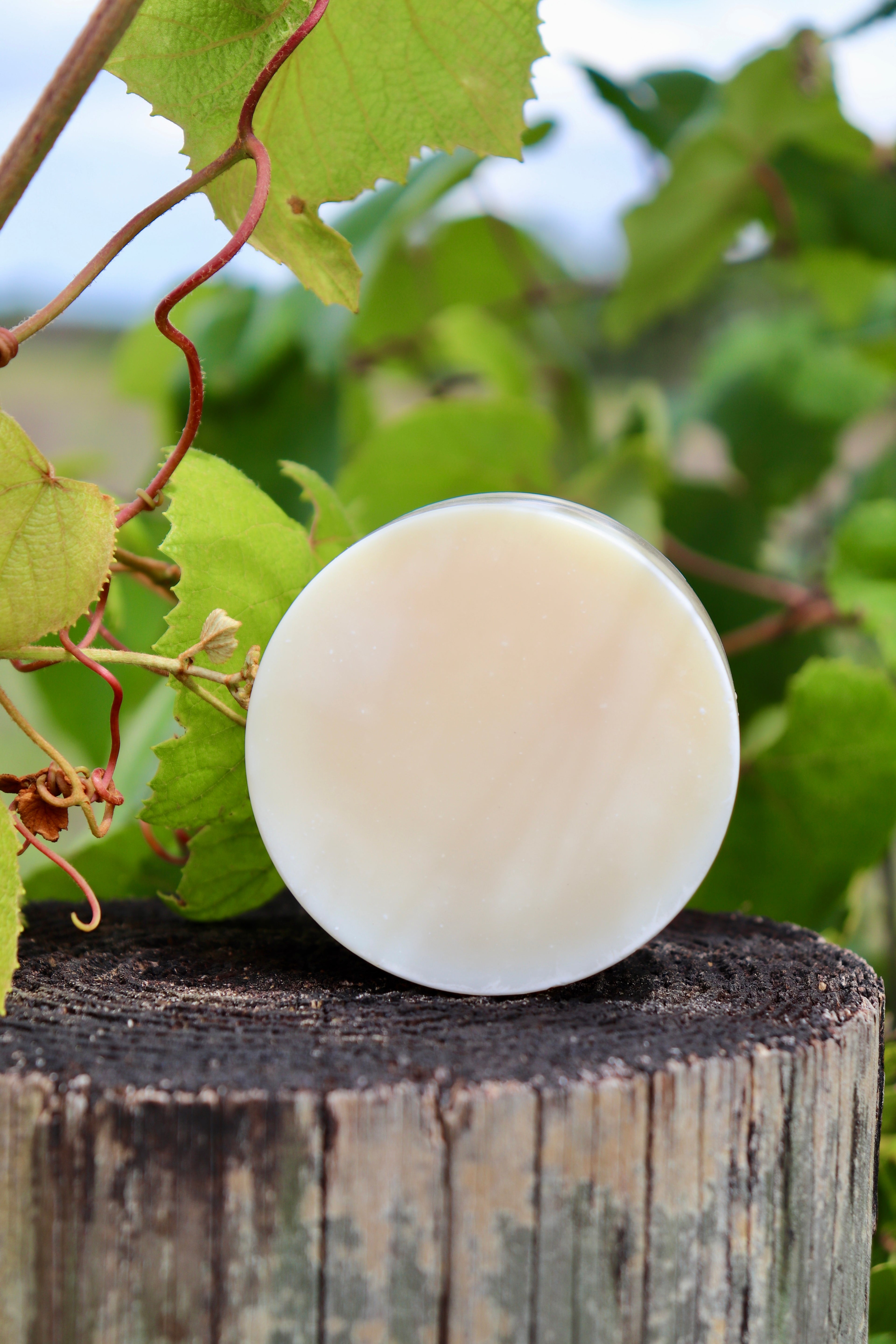 Simply Kefir Soap Recipe (Beginner Friendly) PDF